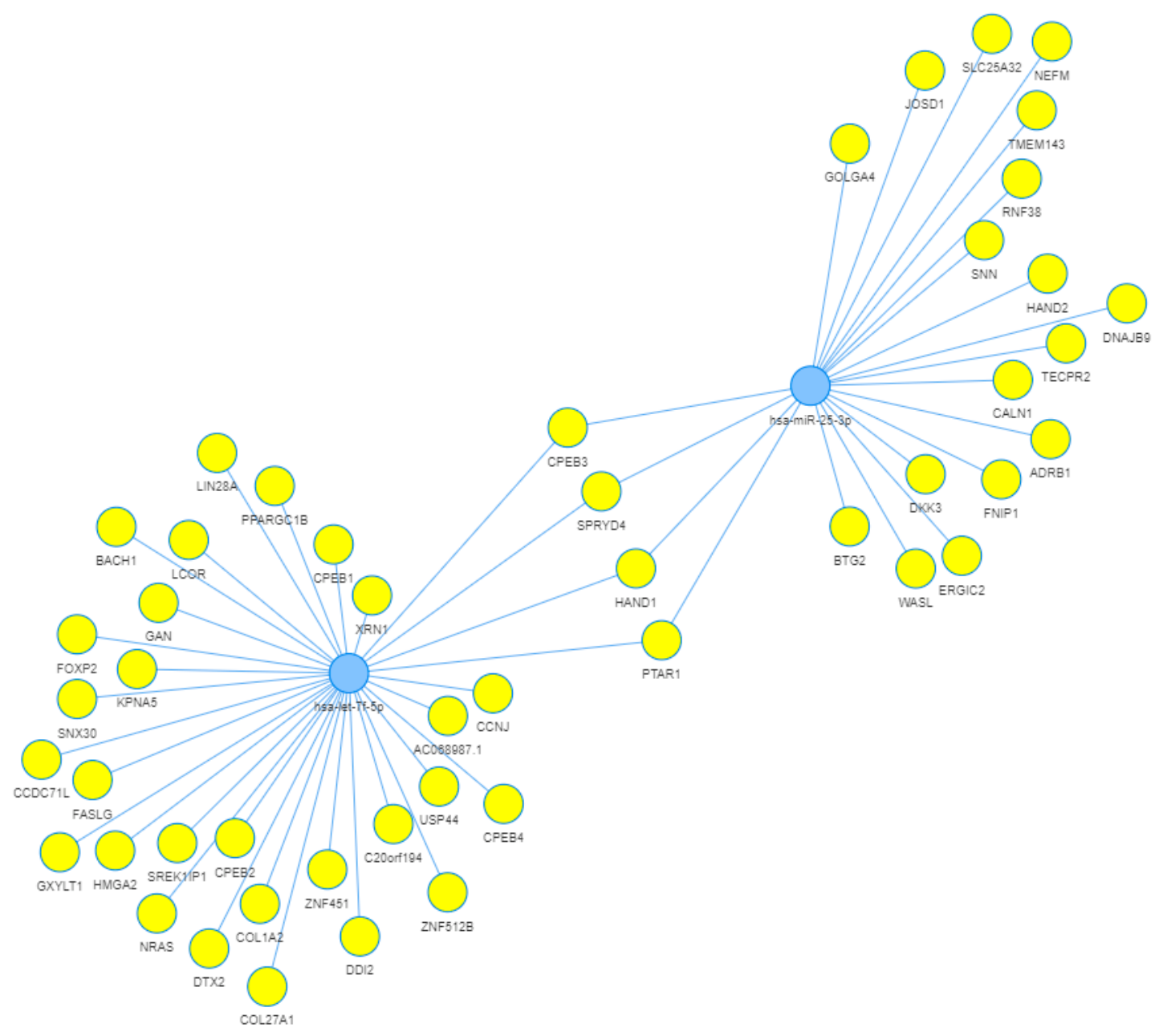 Biomedicines 14 01169 g005