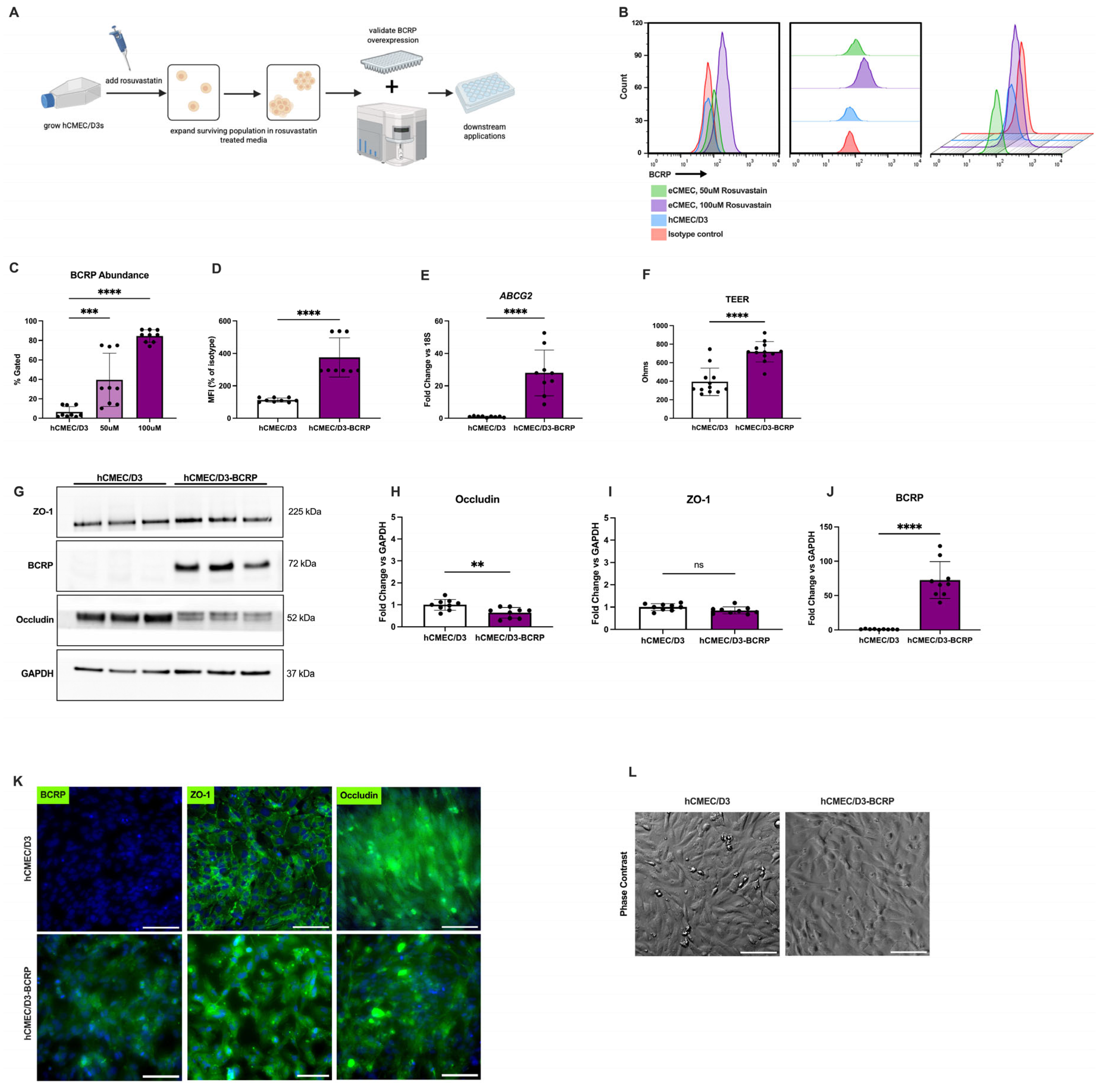 Biomedicines 14 01192 g001 Biomedicines 14 01192 g001