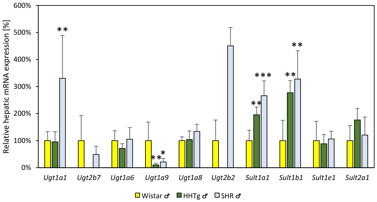 Biomedicines 14 01206 g001 Biomedicines 14 01206 g001