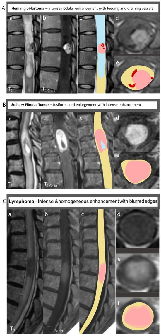 Biomedicines 14 01239 g004