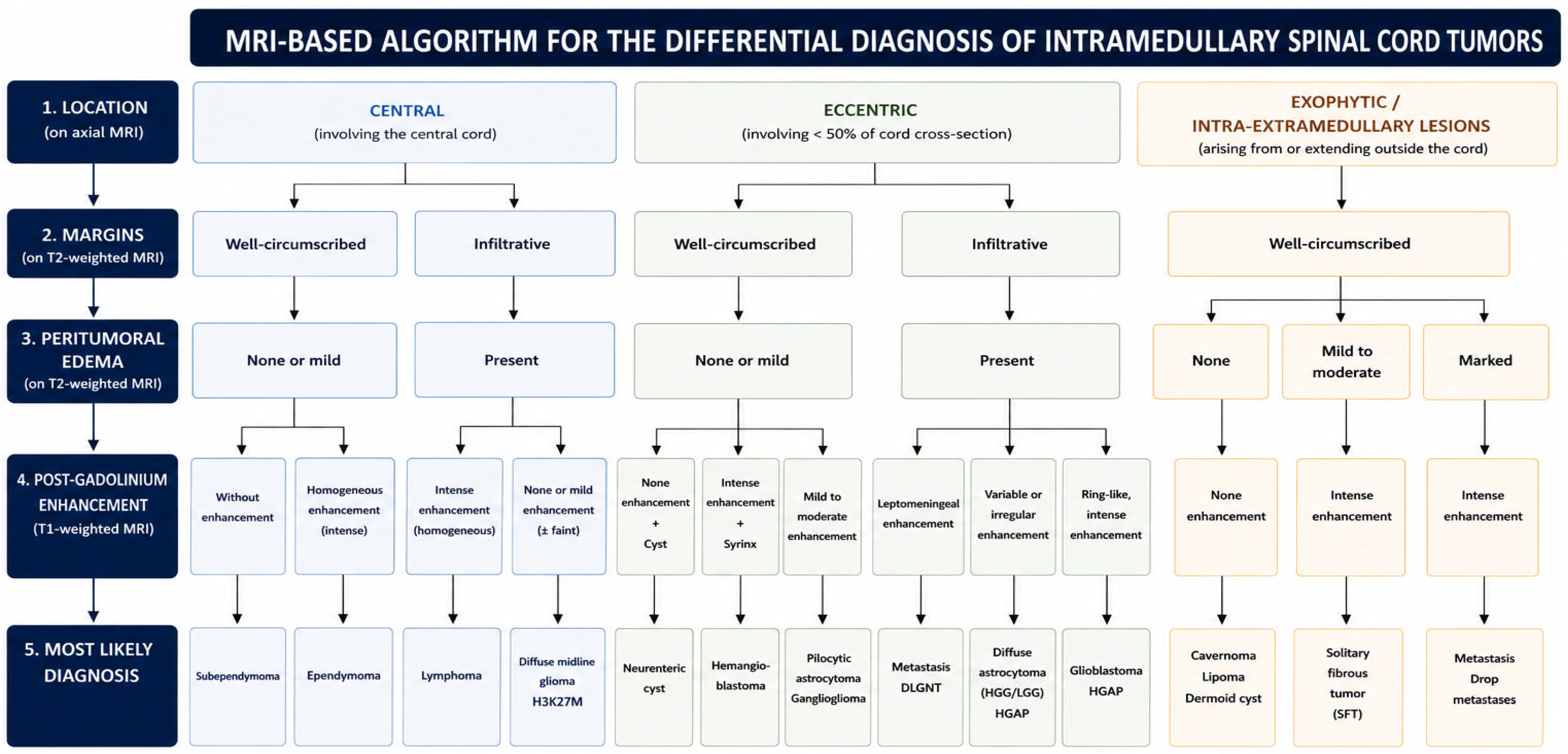Biomedicines 14 01239 g008 Biomedicines 14 01239 g008