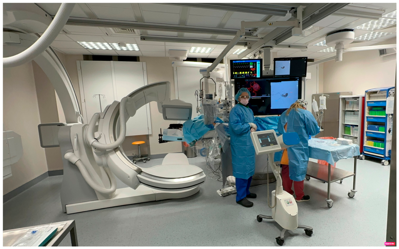 Biomedicines 14 01251 g005 Biomedicines 14 01251 g005