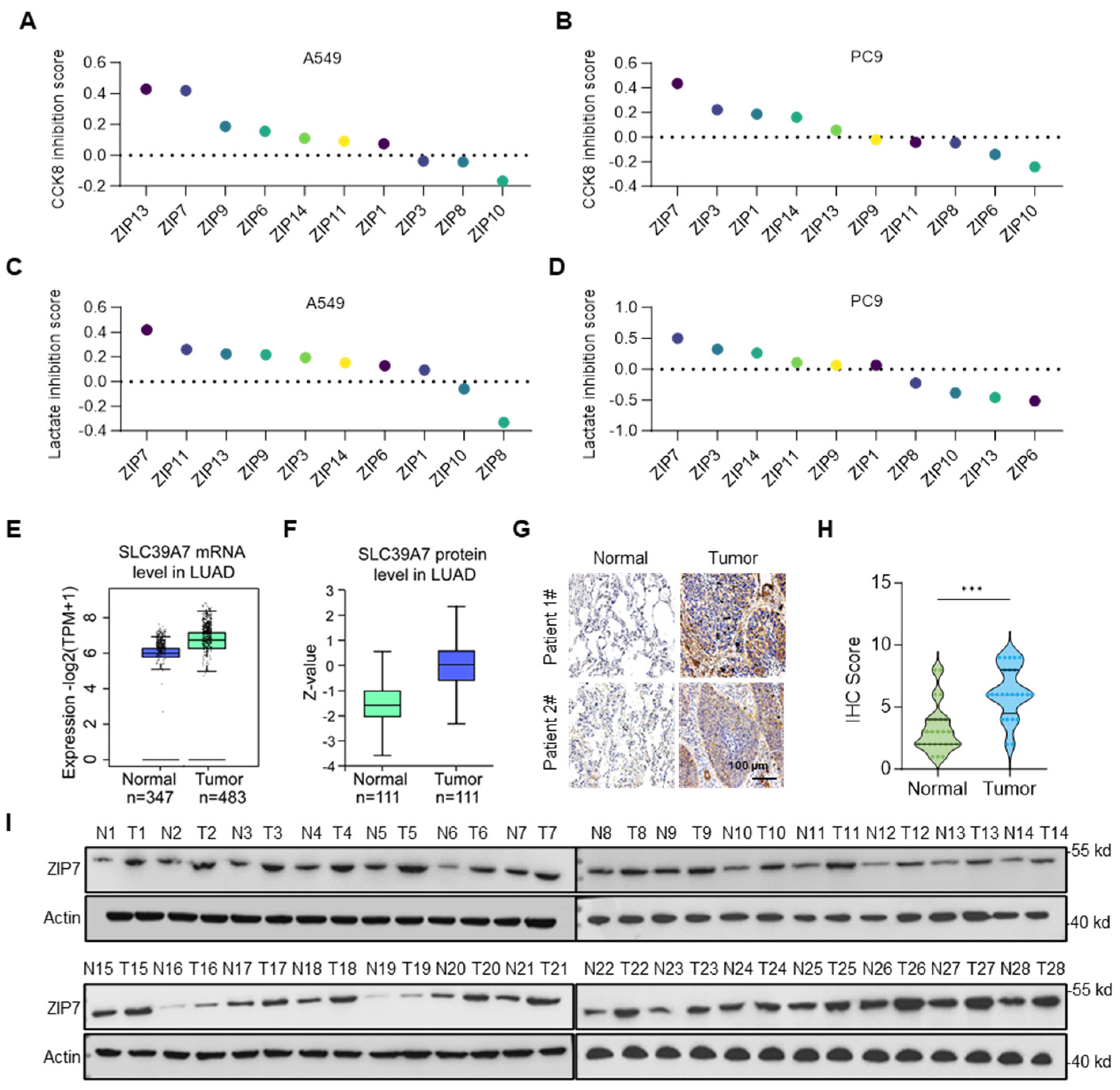 Biomedicines 14 01262 g001 Biomedicines 14 01262 g001