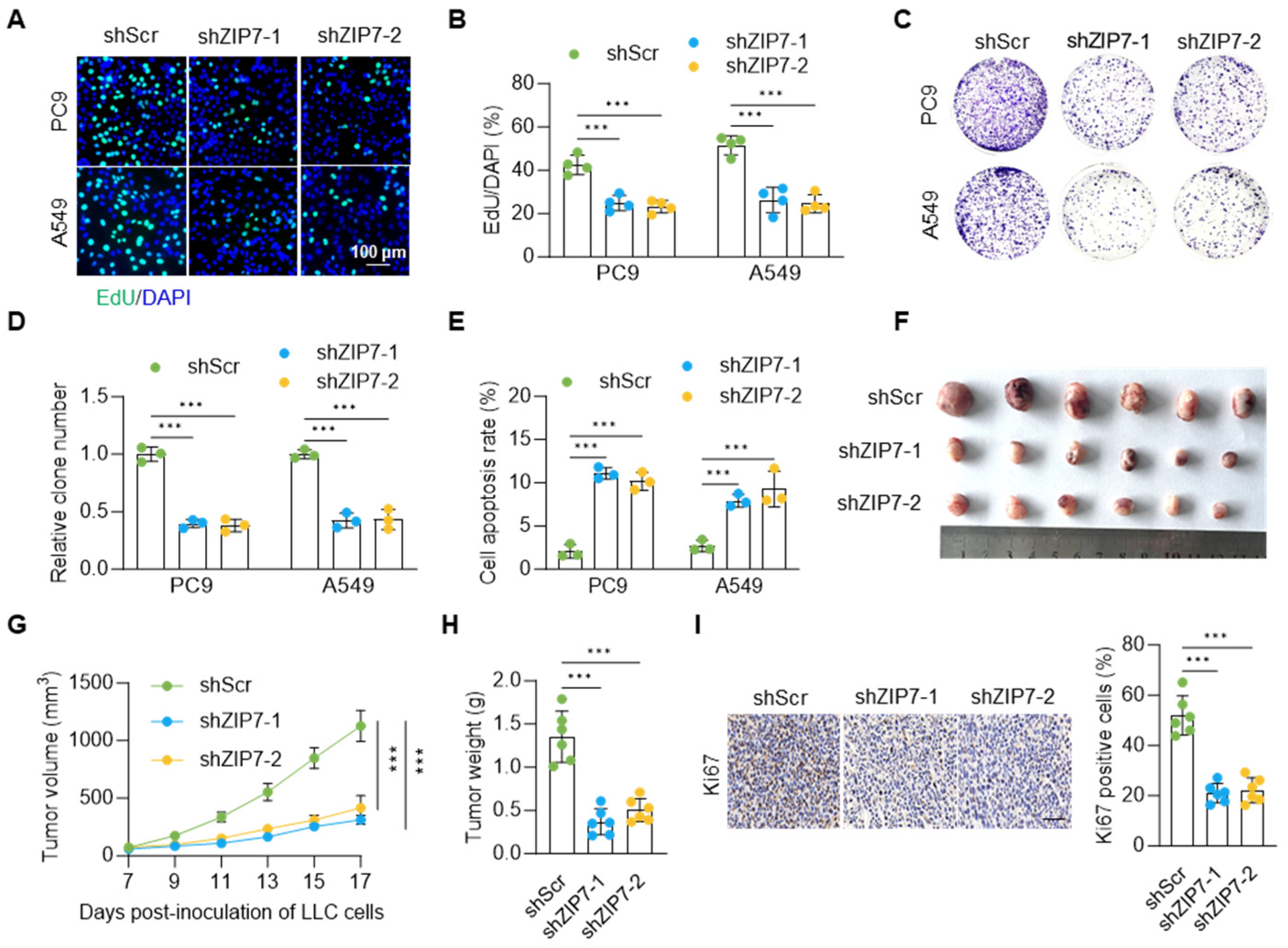 Biomedicines 14 01262 g003 Biomedicines 14 01262 g003
