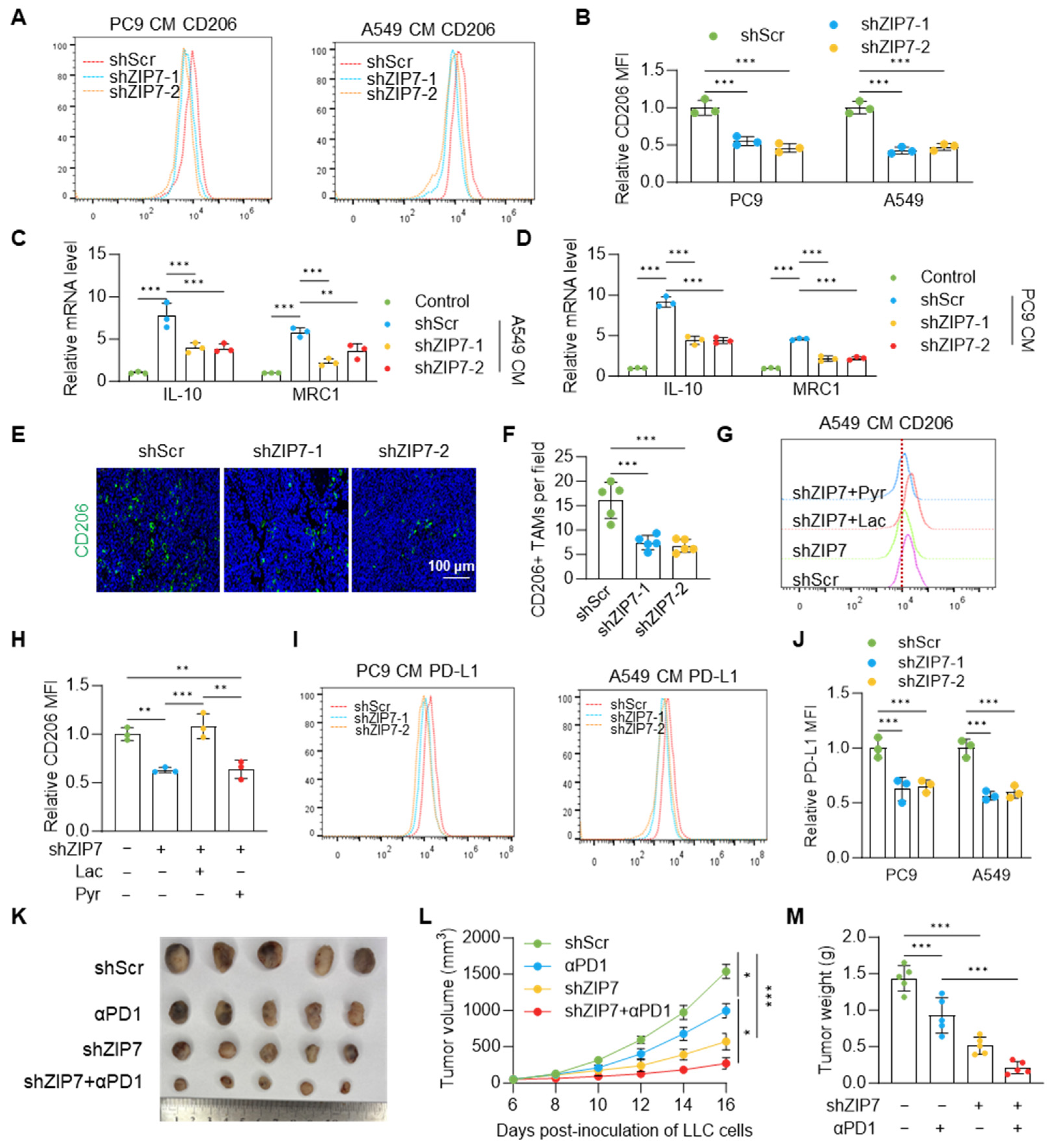 Biomedicines 14 01262 g006 Biomedicines 14 01262 g006