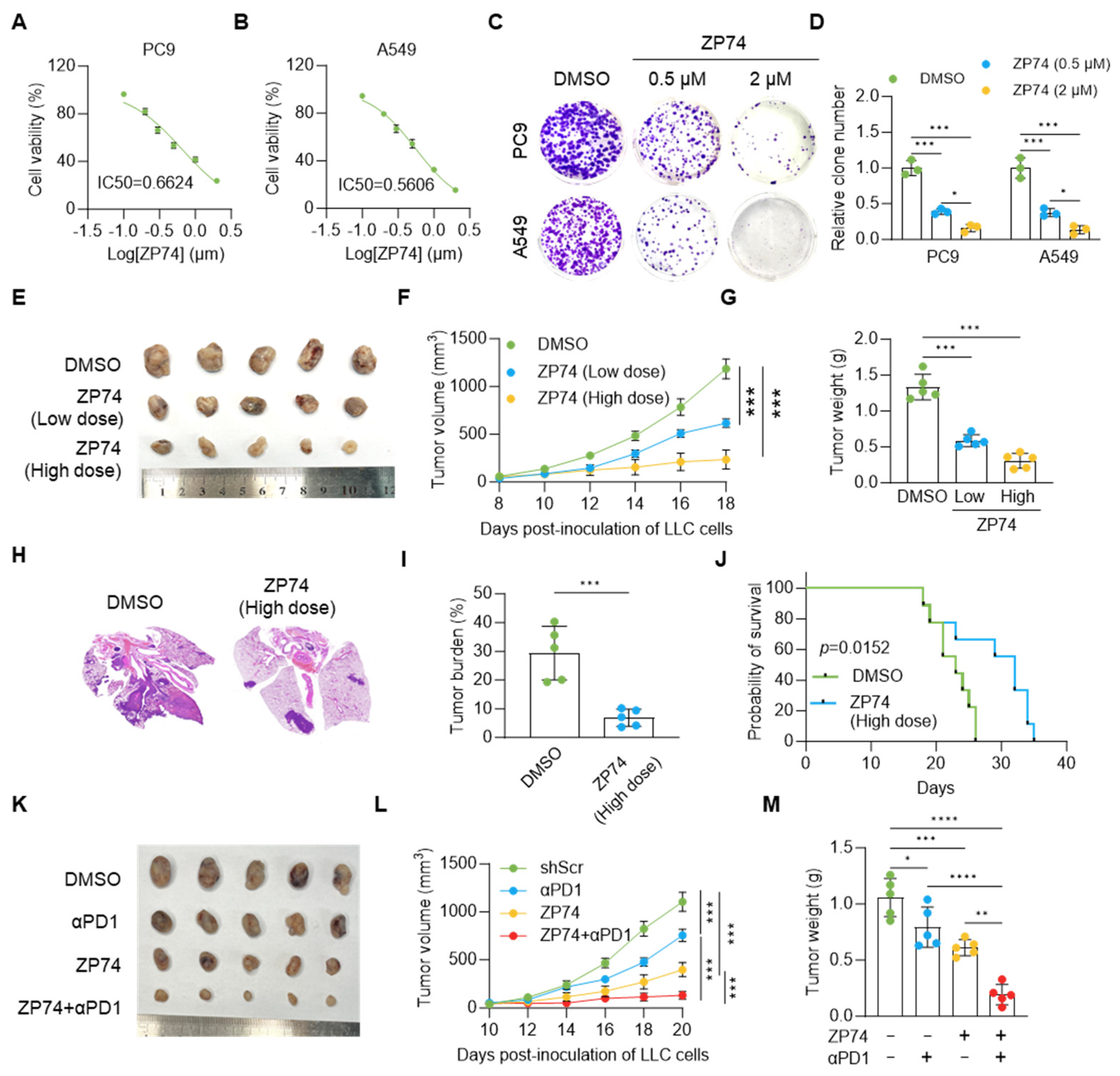 Biomedicines 14 01262 g007 Biomedicines 14 01262 g007