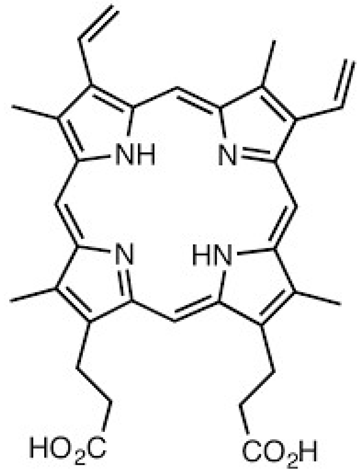 Biomedicines 14 01314 g004 Biomedicines 14 01314 g004