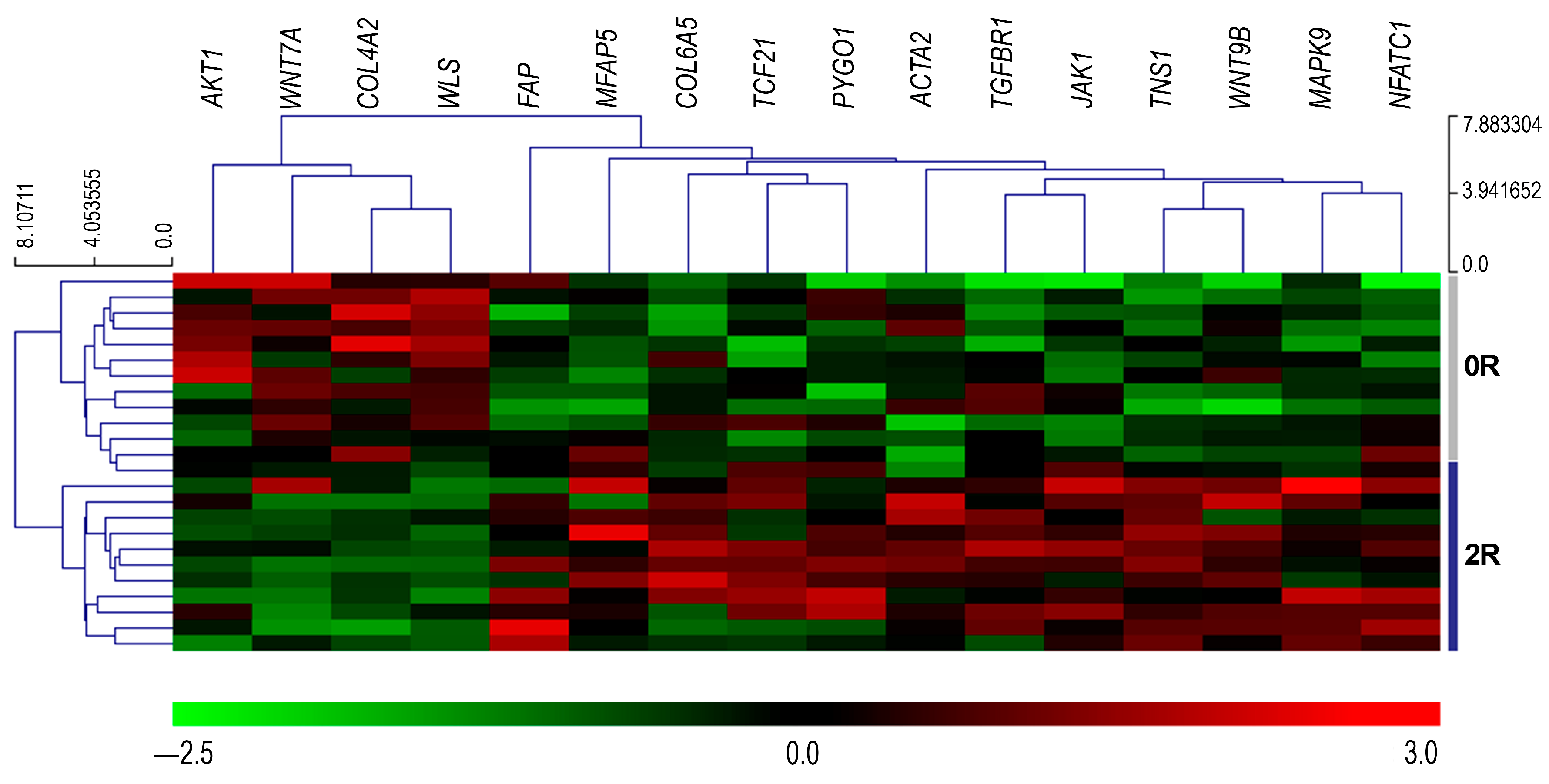 Biomedicines 14 01371 g002 Biomedicines 14 01371 g002