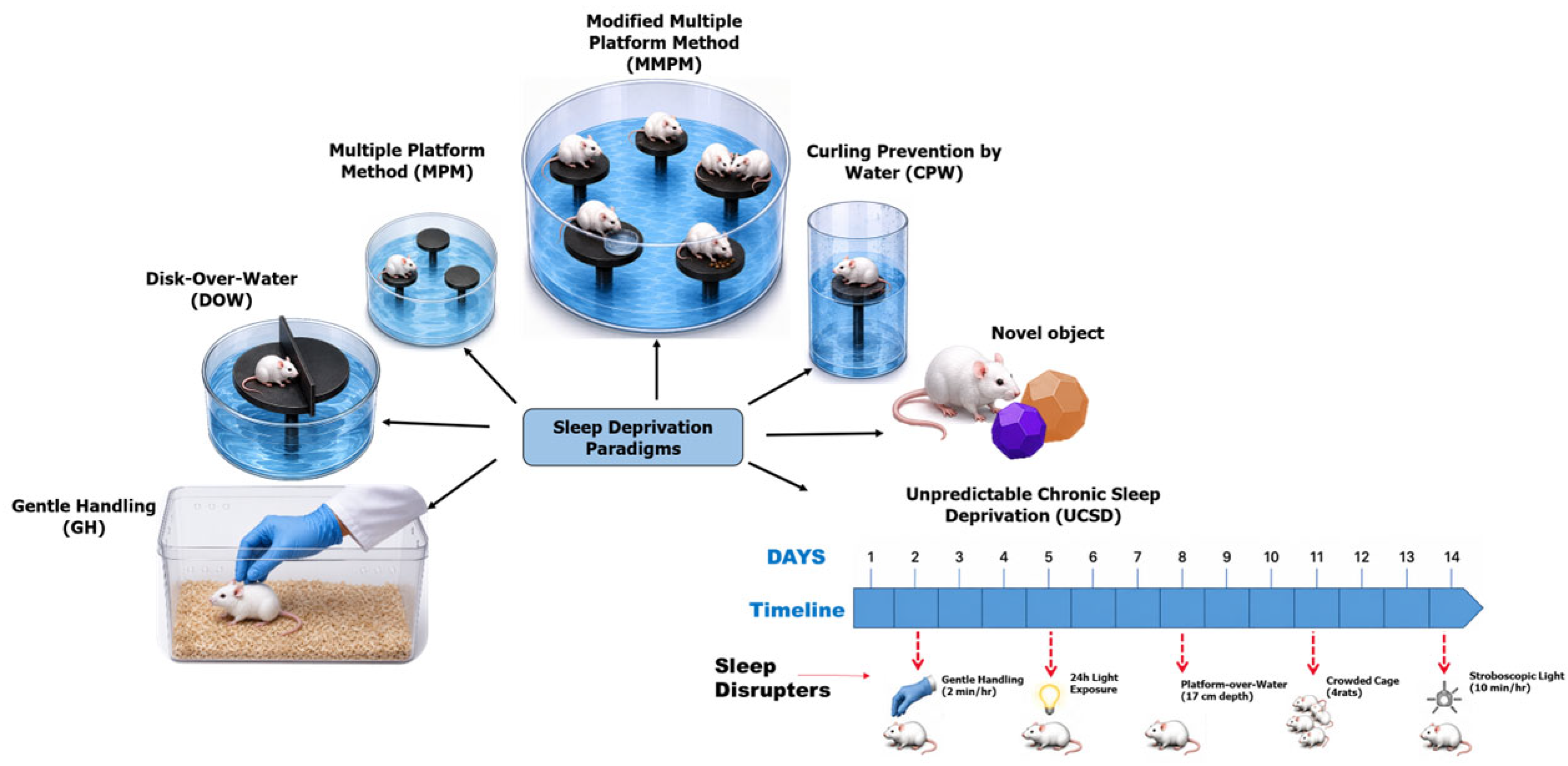 Biomedicines 14 01376 g001 Biomedicines 14 01376 g001