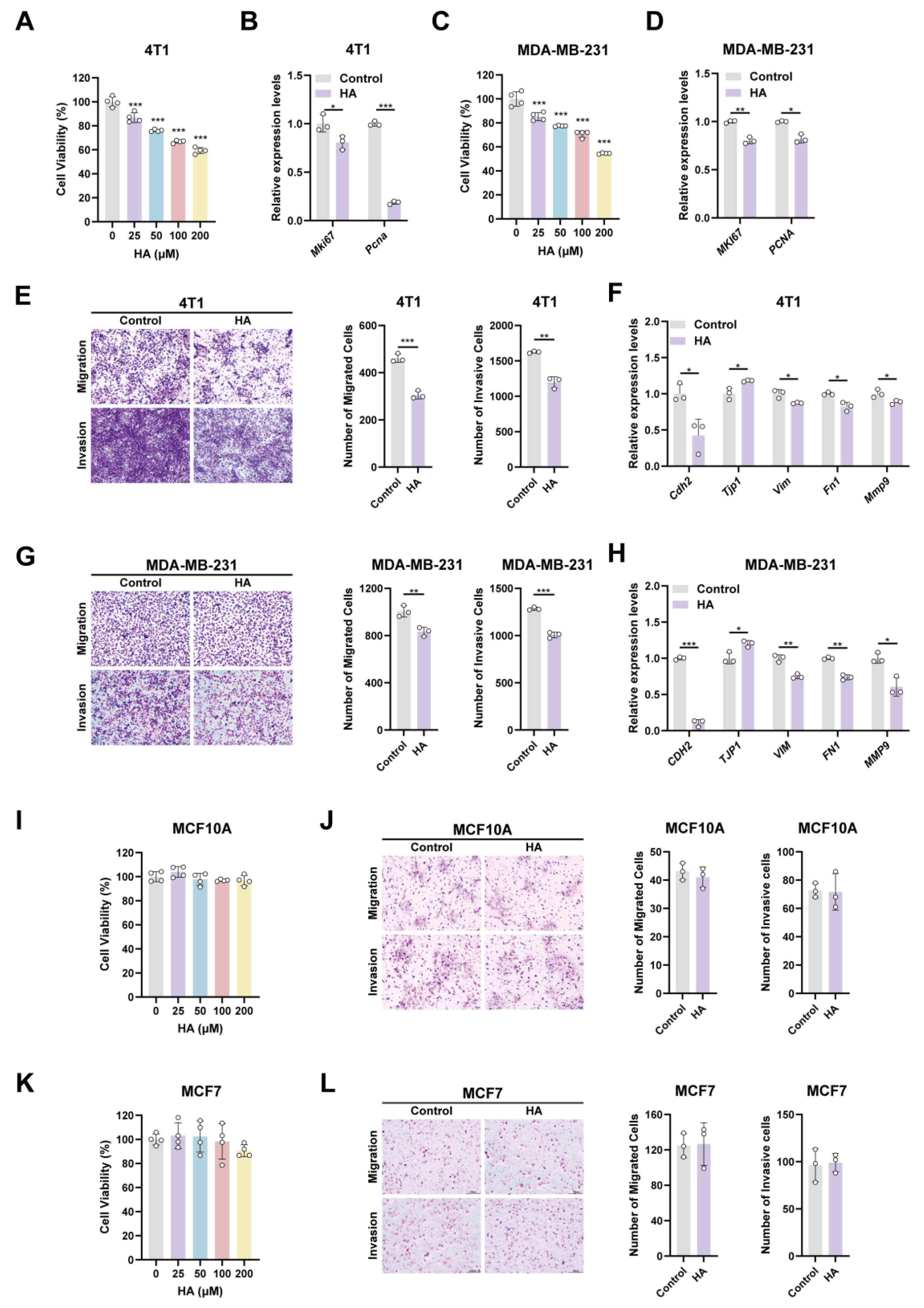 Biomedicines 14 01400 g002