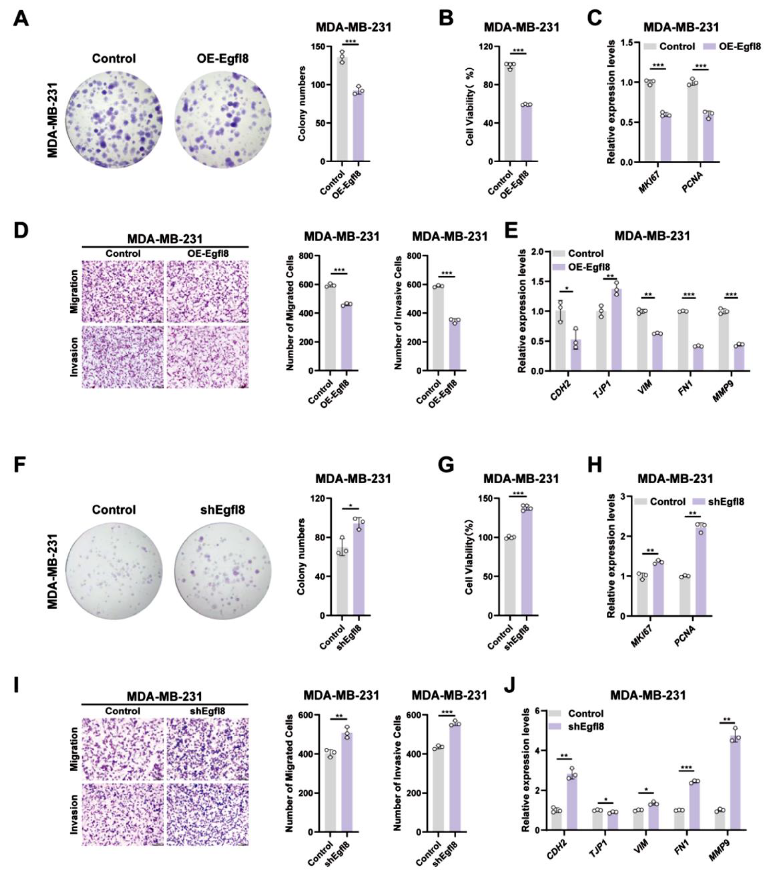 Biomedicines 14 01400 g004