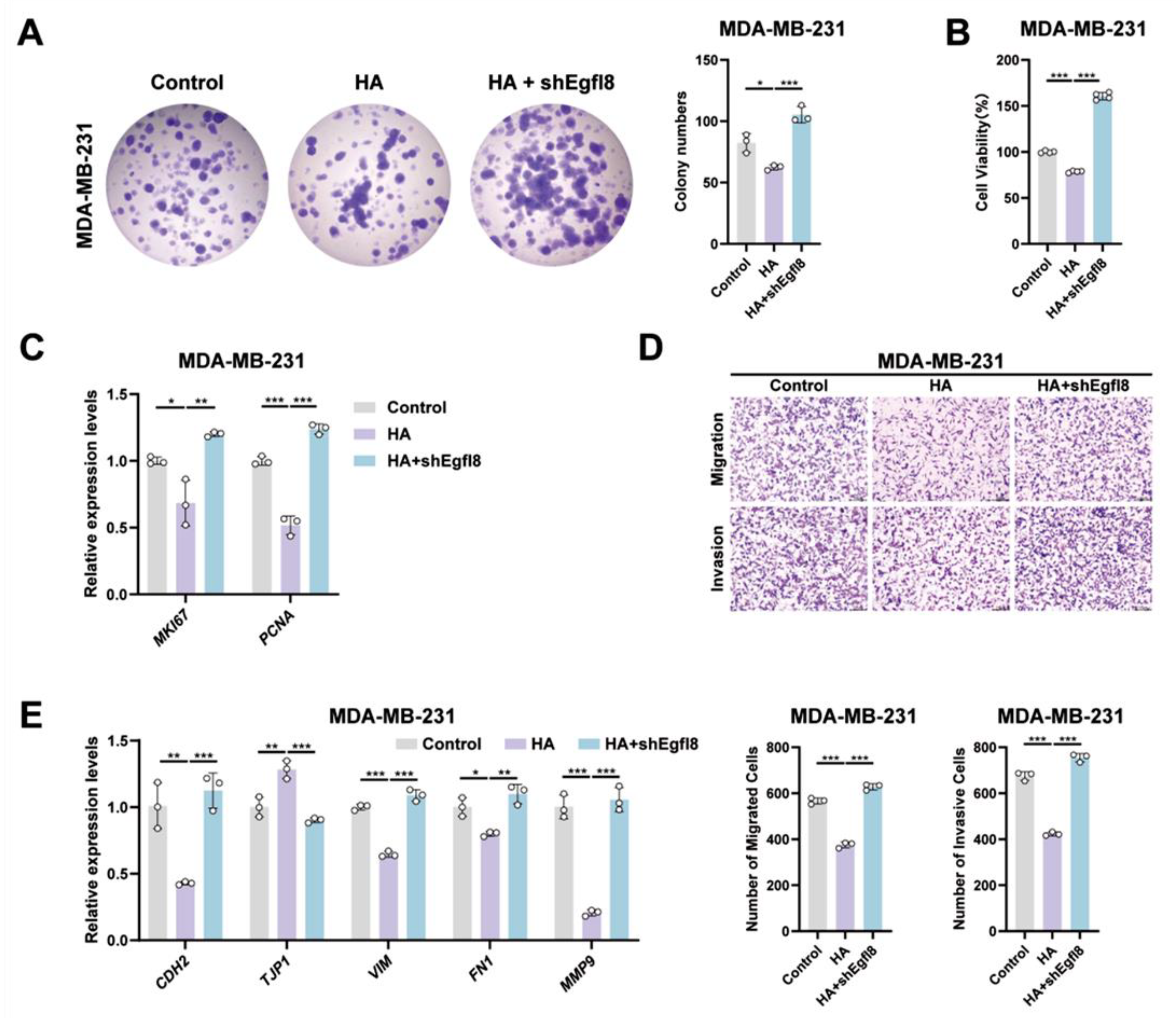 Biomedicines 14 01400 g005