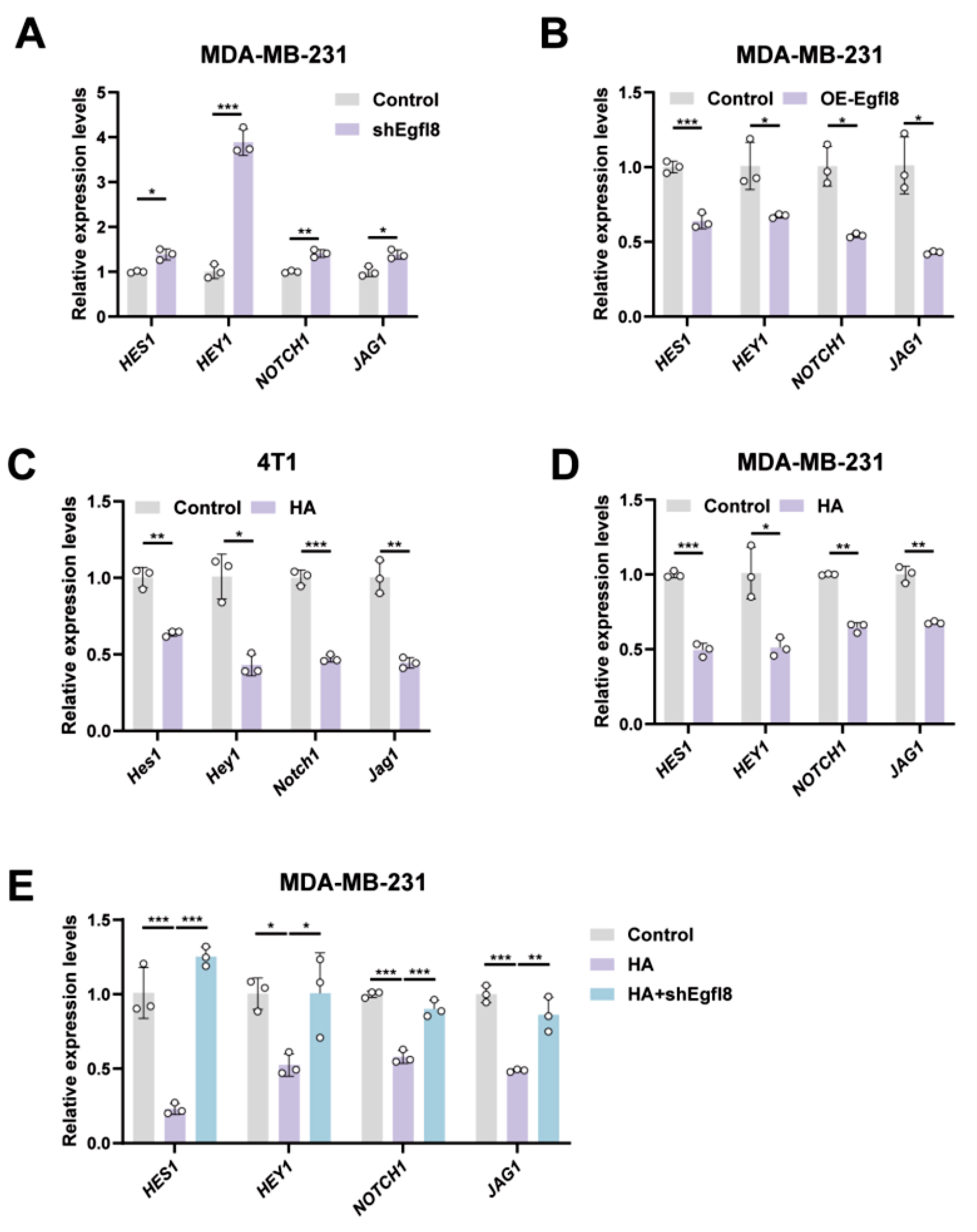 Biomedicines 14 01400 g006