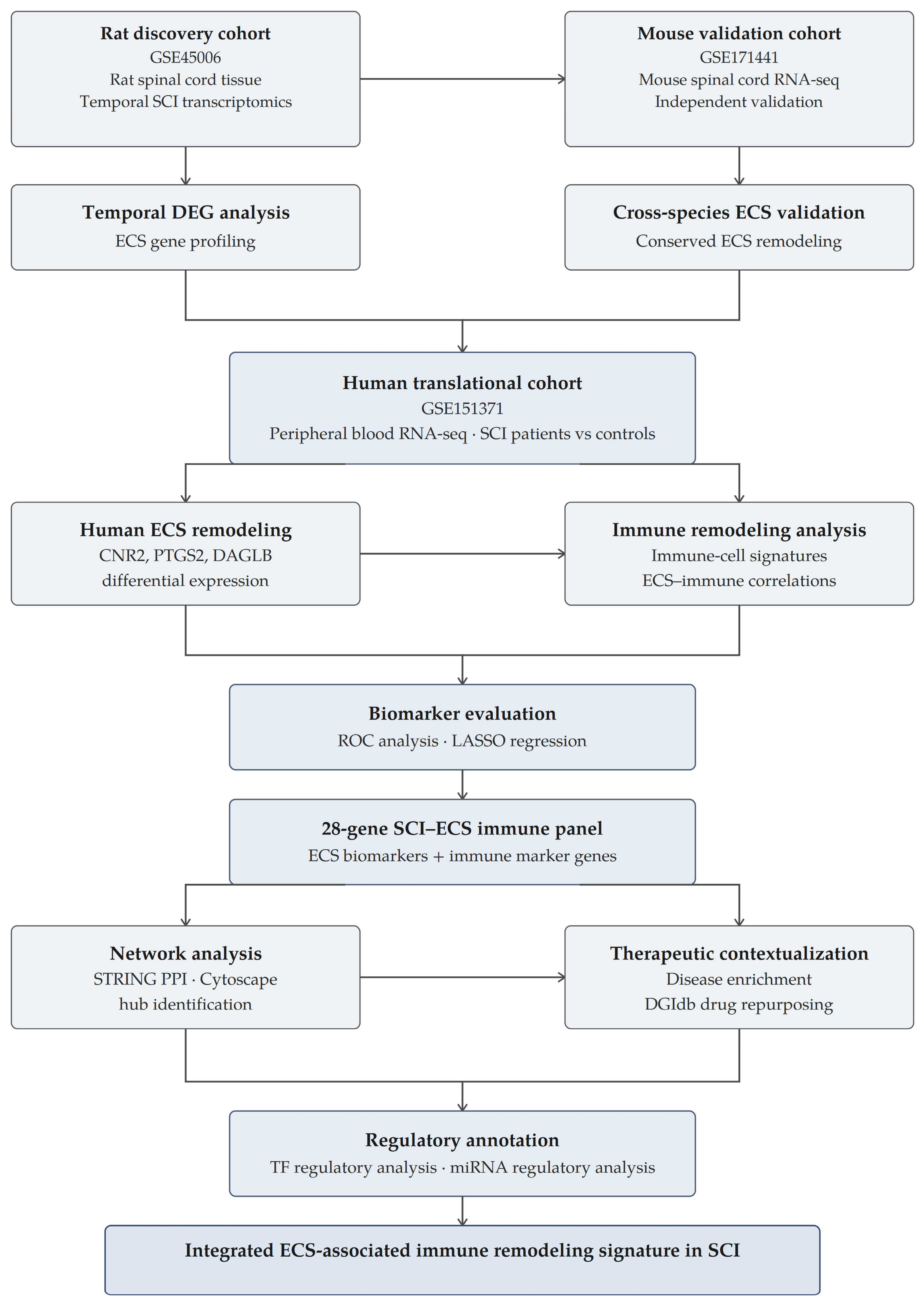 Biomedicines 14 01446 g001 Biomedicines 14 01446 g001