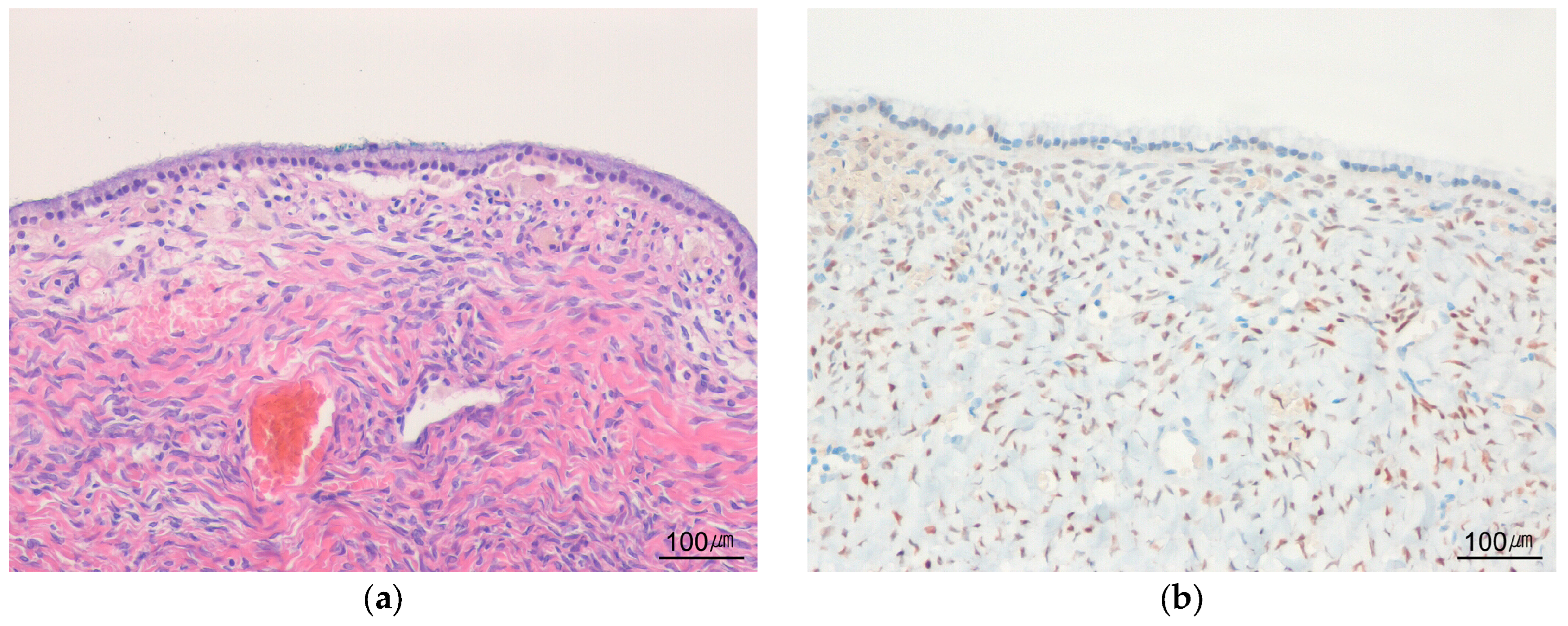 Biomedicines 14 01548 g002 Biomedicines 14 01548 g002