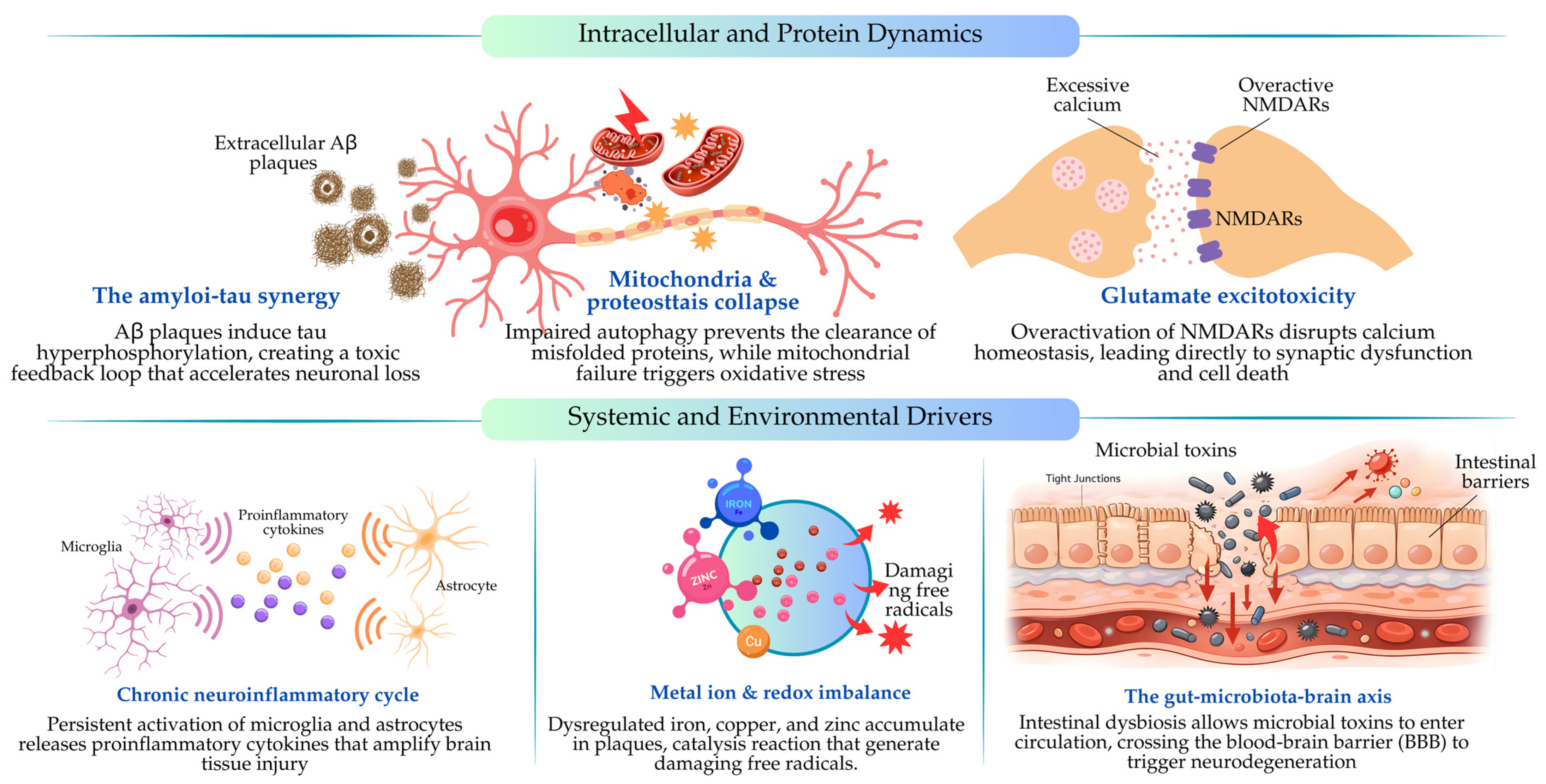 Biomedicines 14 01609 g001 Biomedicines 14 01609 g001