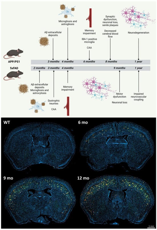 Biomedicines 14 01609 g003