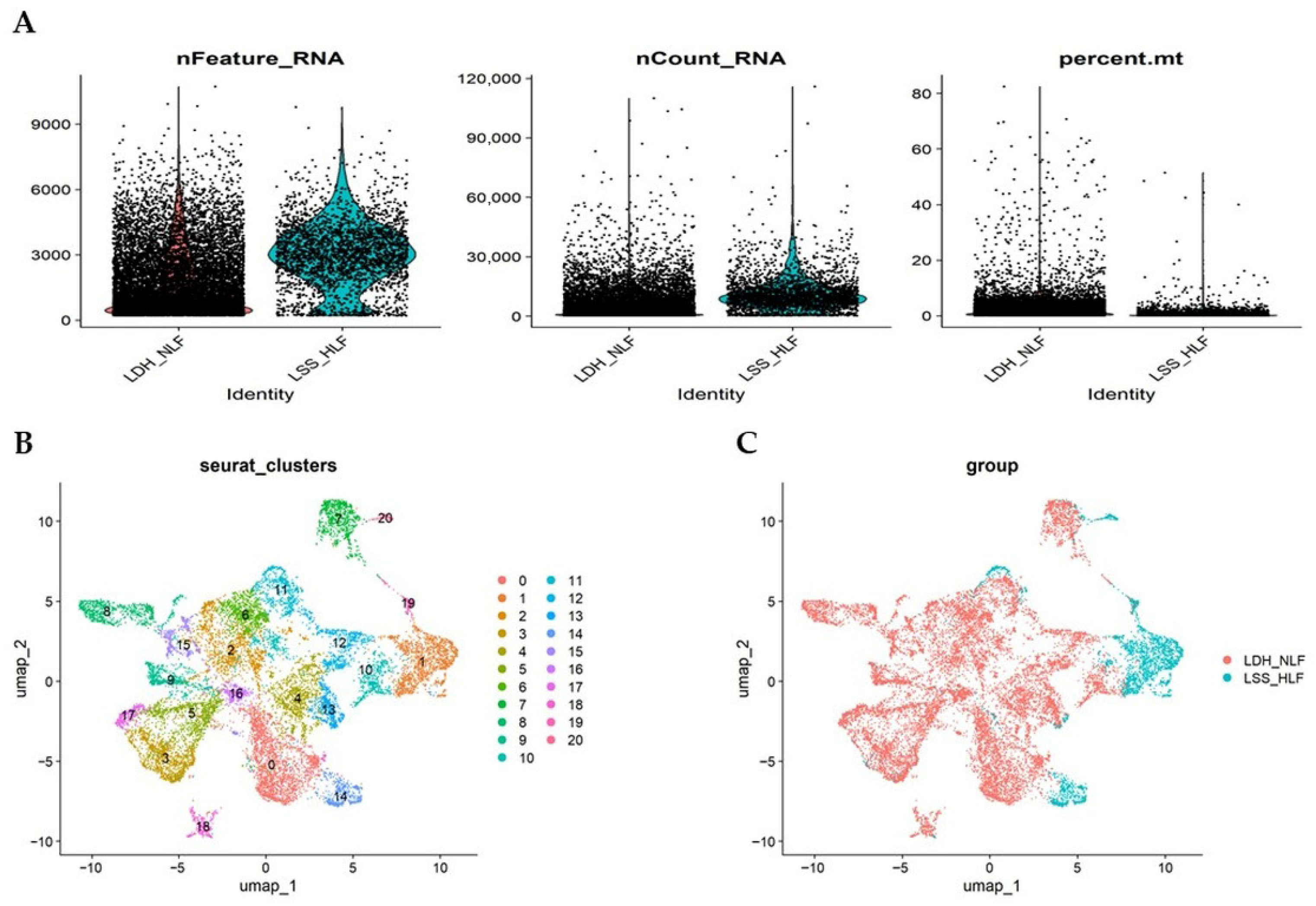 Biomedicines 14 01614 g002 Biomedicines 14 01614 g002