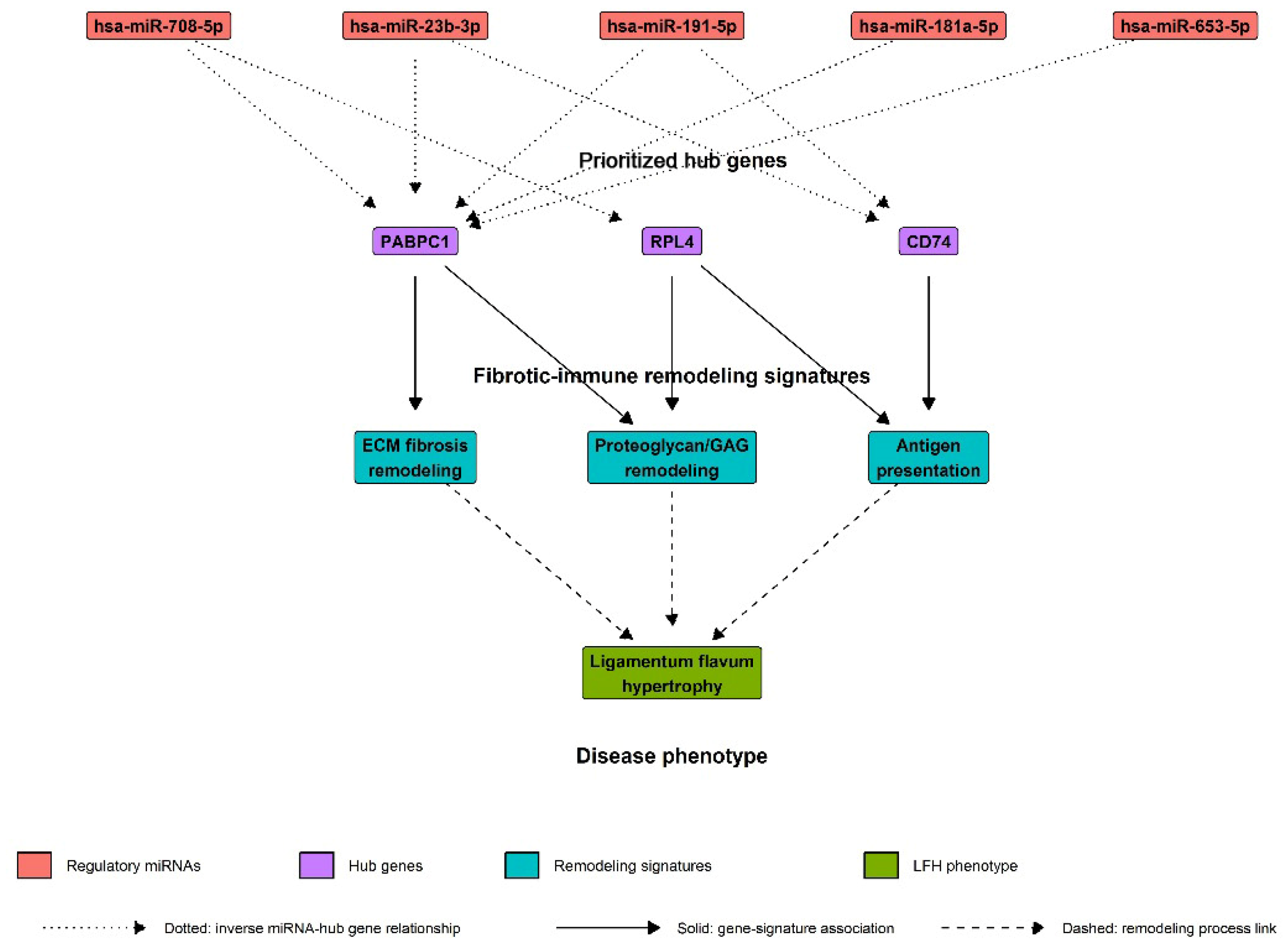 Biomedicines 14 01614 g017 Biomedicines 14 01614 g017