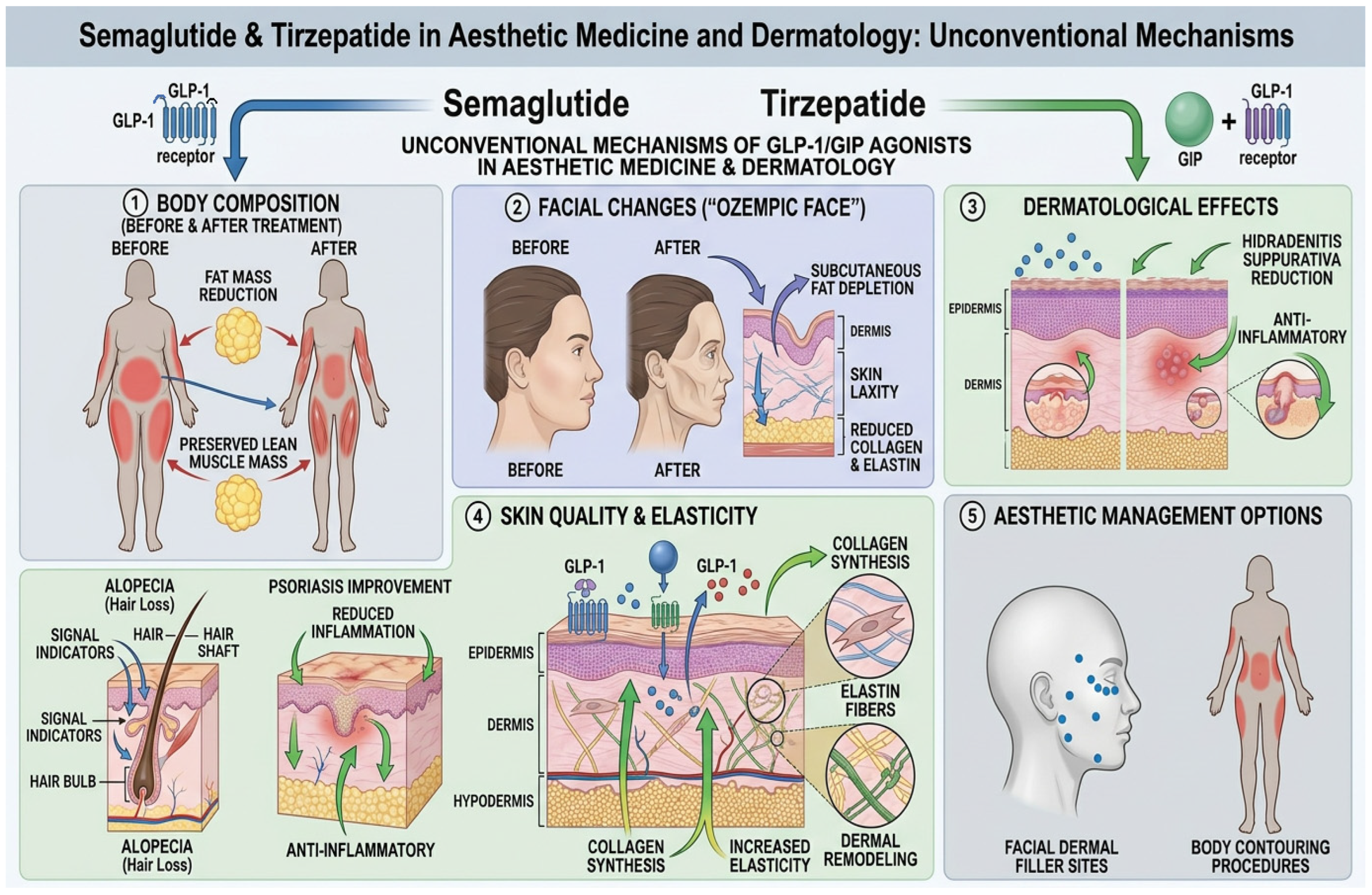 Biomedicines 14 01644 g004 Biomedicines 14 01644 g004