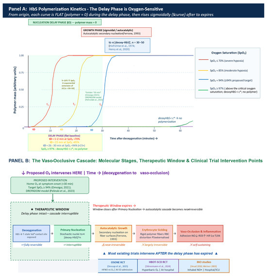 Biomedicines 14 01682 g001a Biomedicines 14 01682 g001a