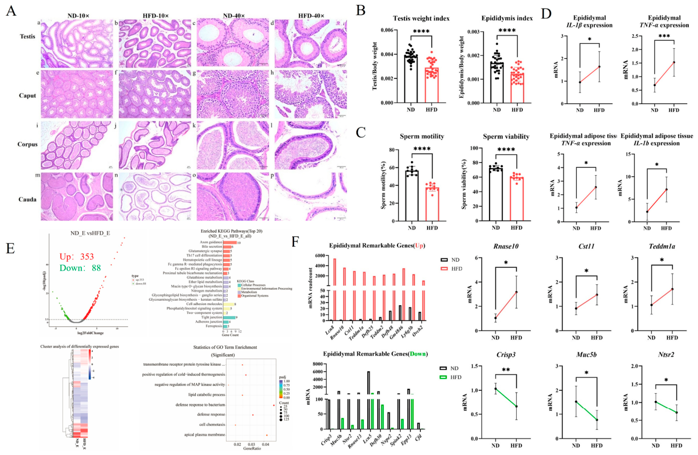 Biomedicines 14 01690 g002 Biomedicines 14 01690 g002
