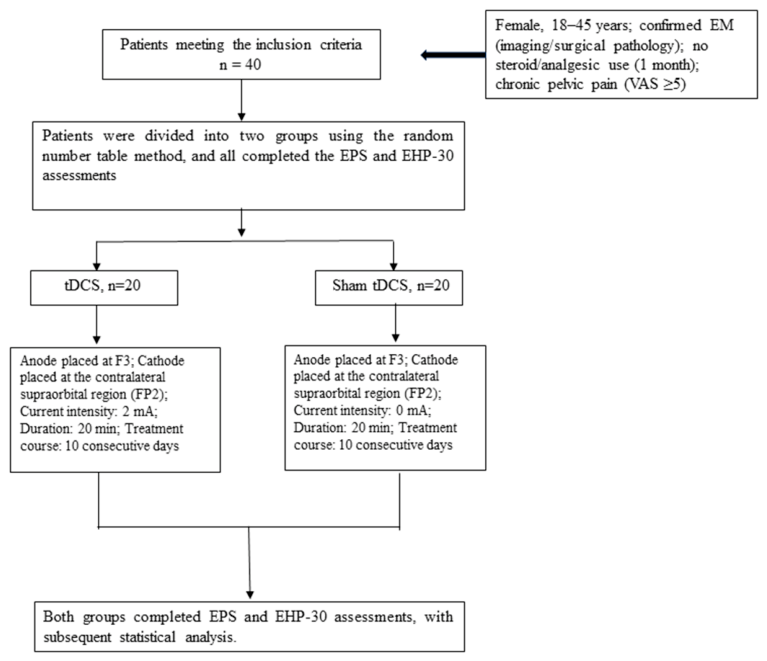 Biomedicines 14 01713 g001