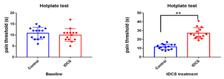 Biomedicines 14 01713 g003
