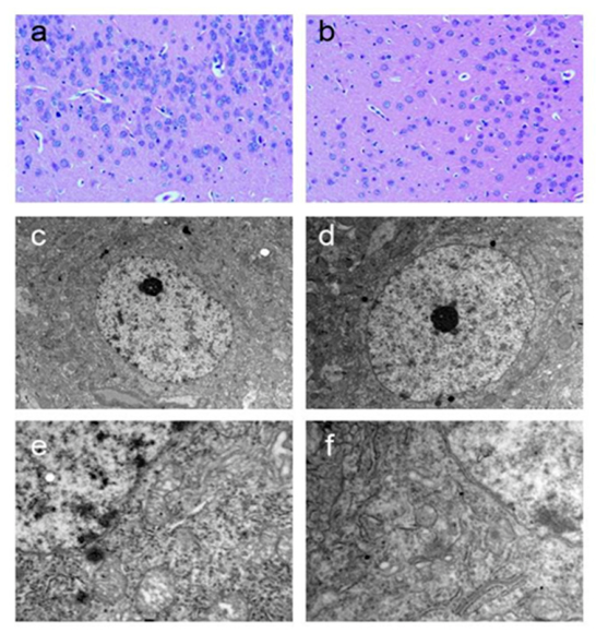 Biomedicines 14 01713 g005