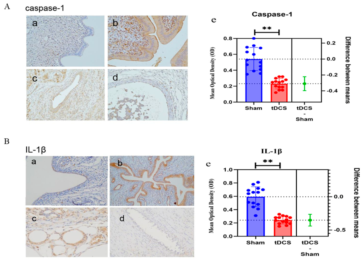 Biomedicines 14 01713 g008