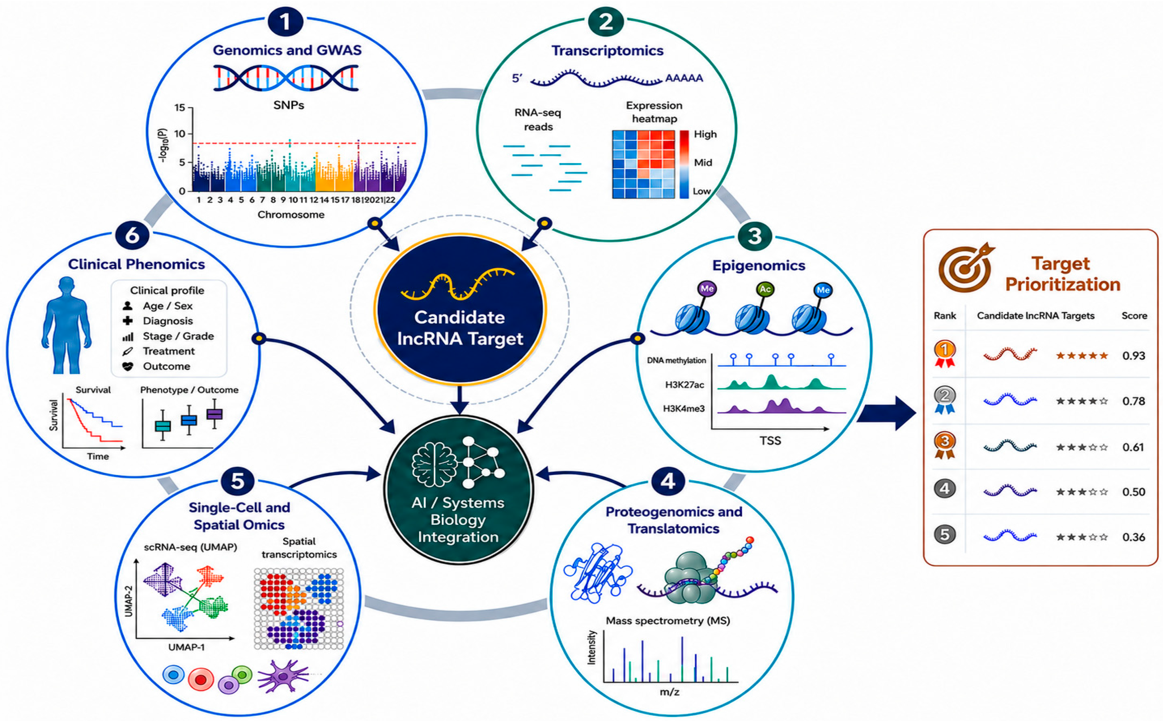 Biomedicines 14 01722 g002 Biomedicines 14 01722 g002