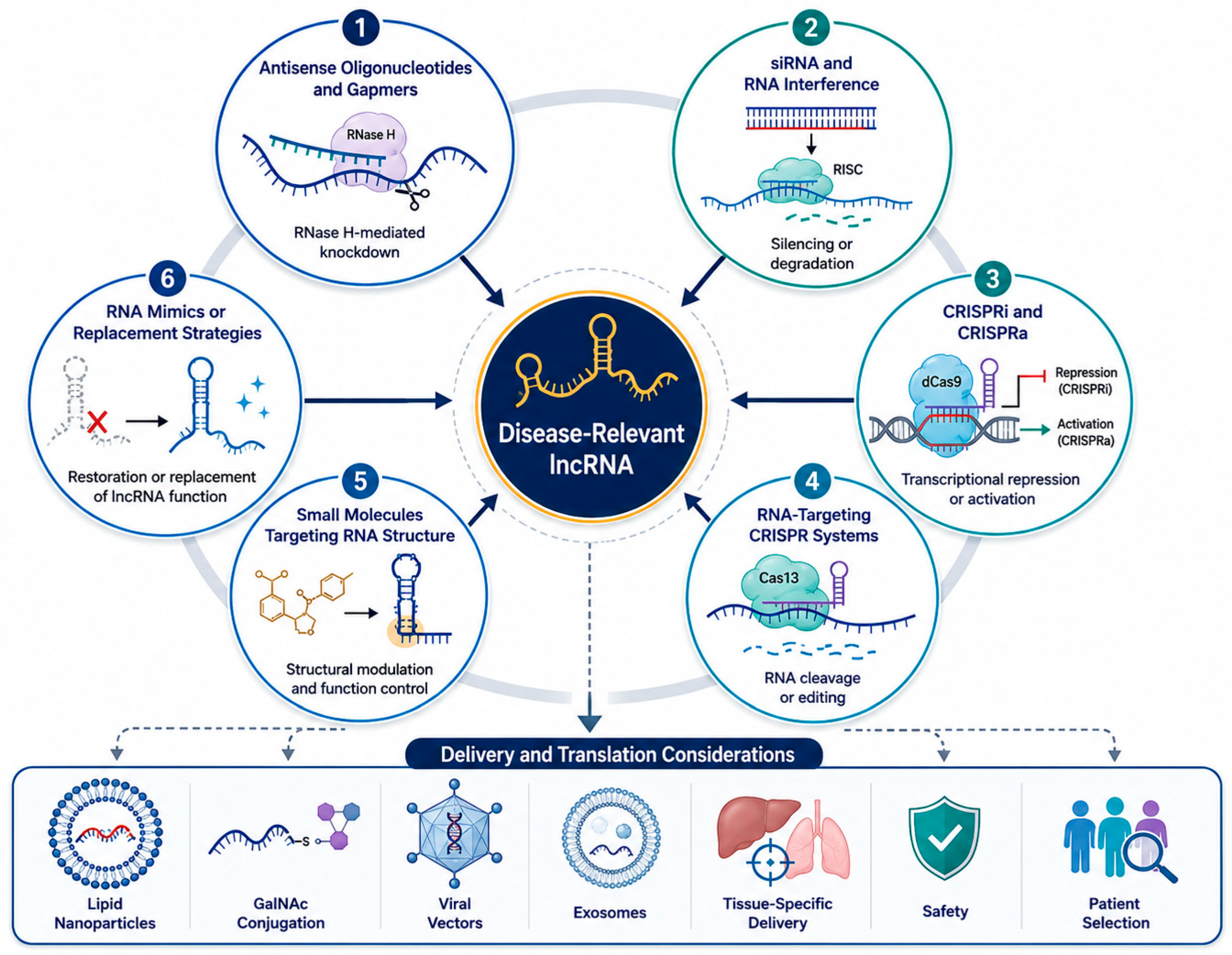 Biomedicines 14 01722 g003 Biomedicines 14 01722 g003