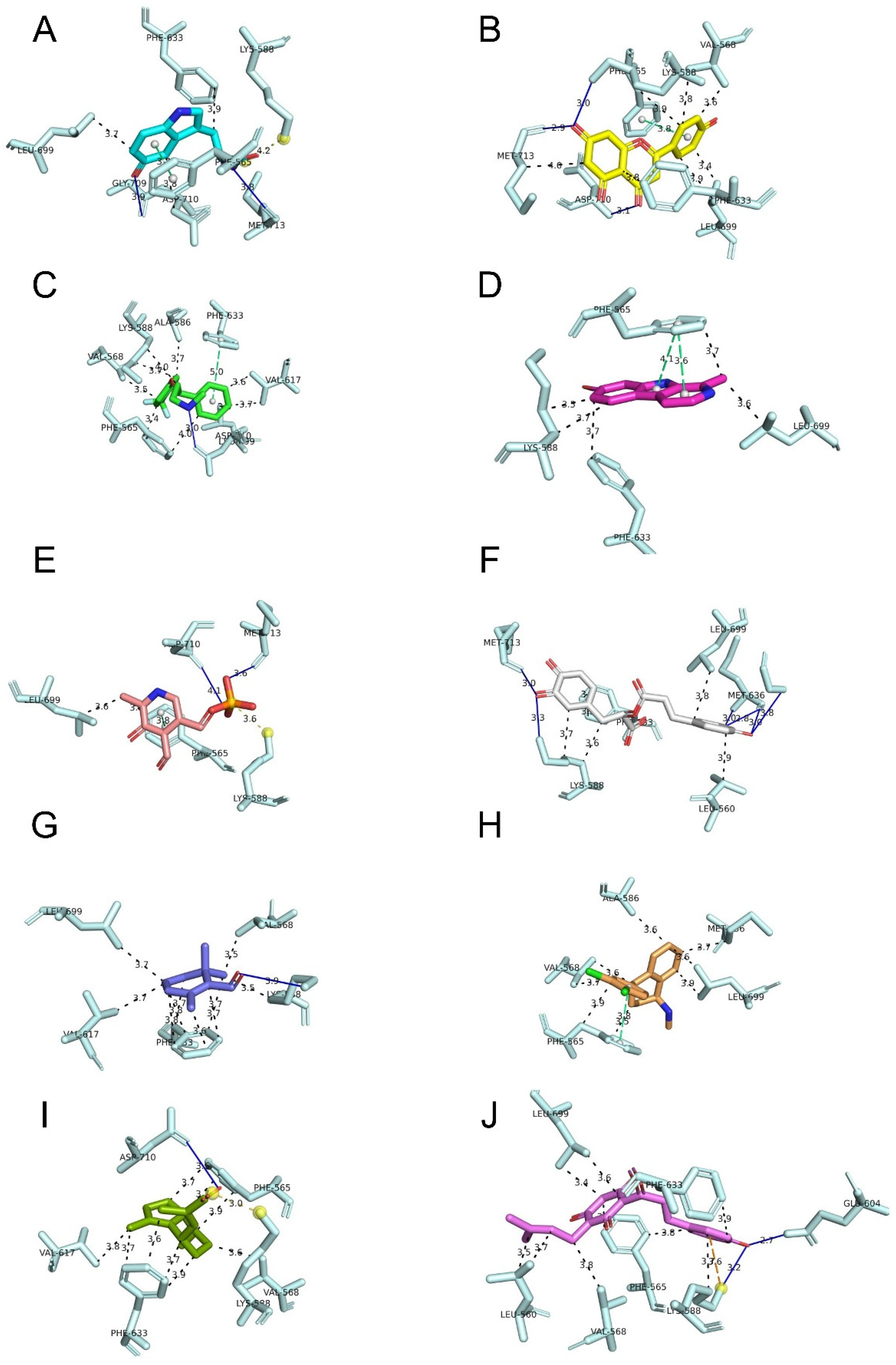 Biomedicines 14 01749 g002 Biomedicines 14 01749 g002