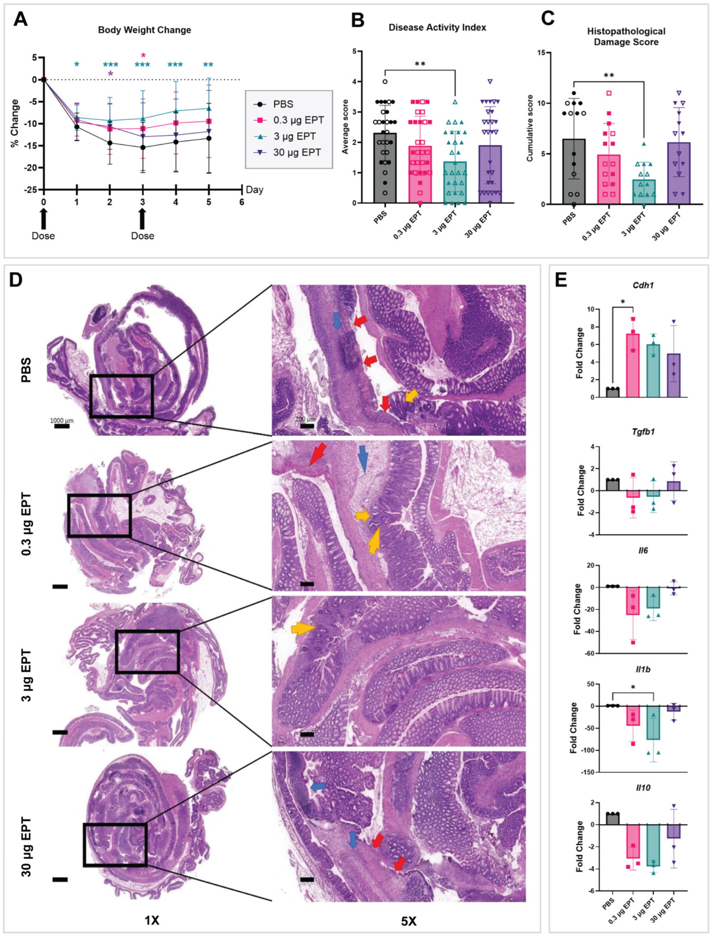 Biomedicines 14 01777 g001 Biomedicines 14 01777 g001