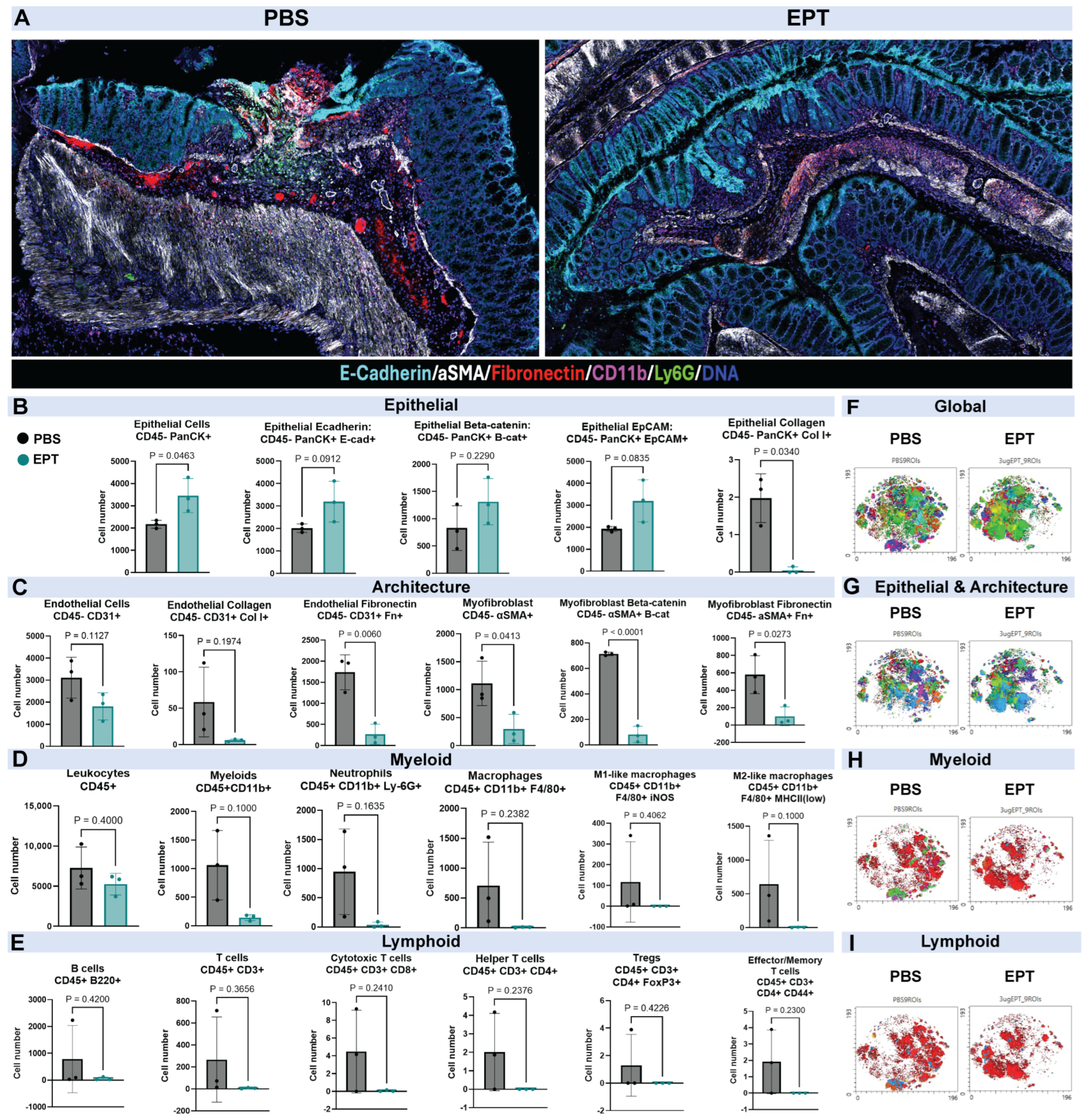 Biomedicines 14 01777 g002 Biomedicines 14 01777 g002