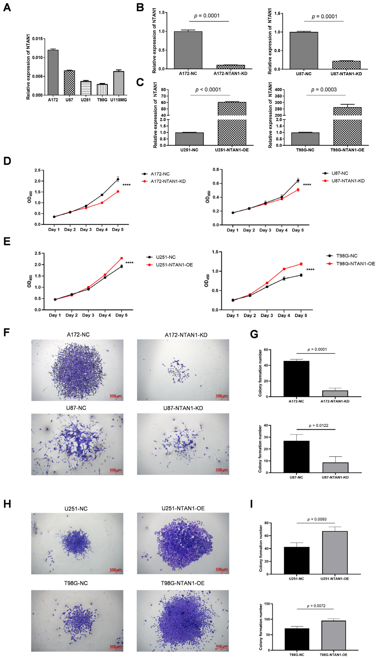 Biomedicines 14 01870 g002 Biomedicines 14 01870 g002