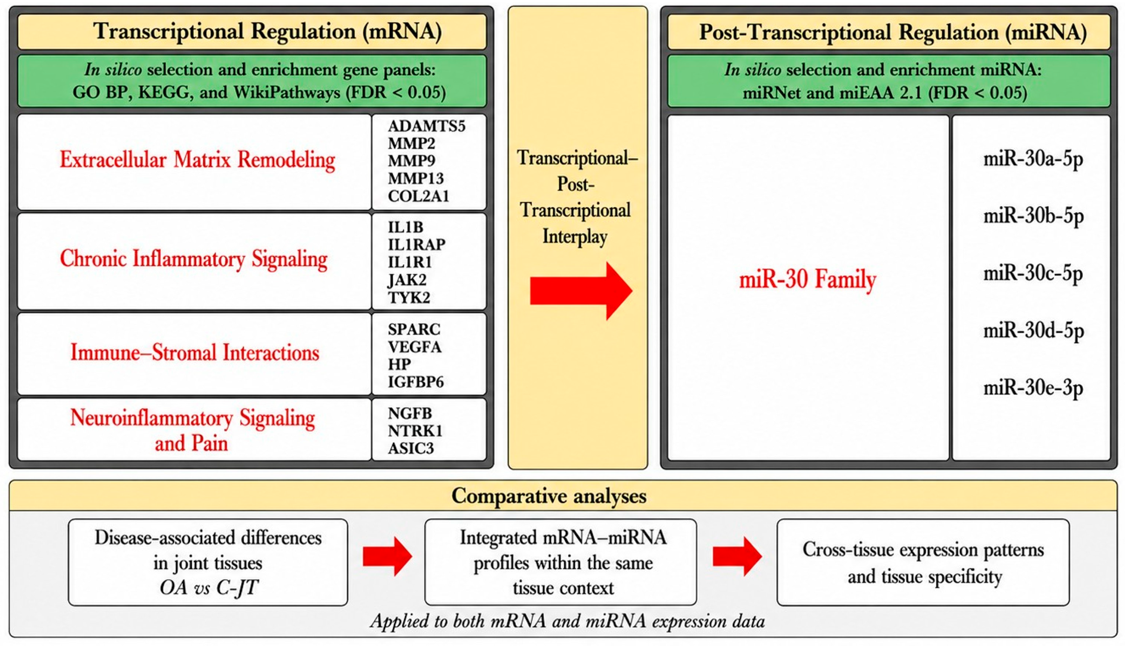 Biomedicines 14 02024 g001 Biomedicines 14 02024 g001