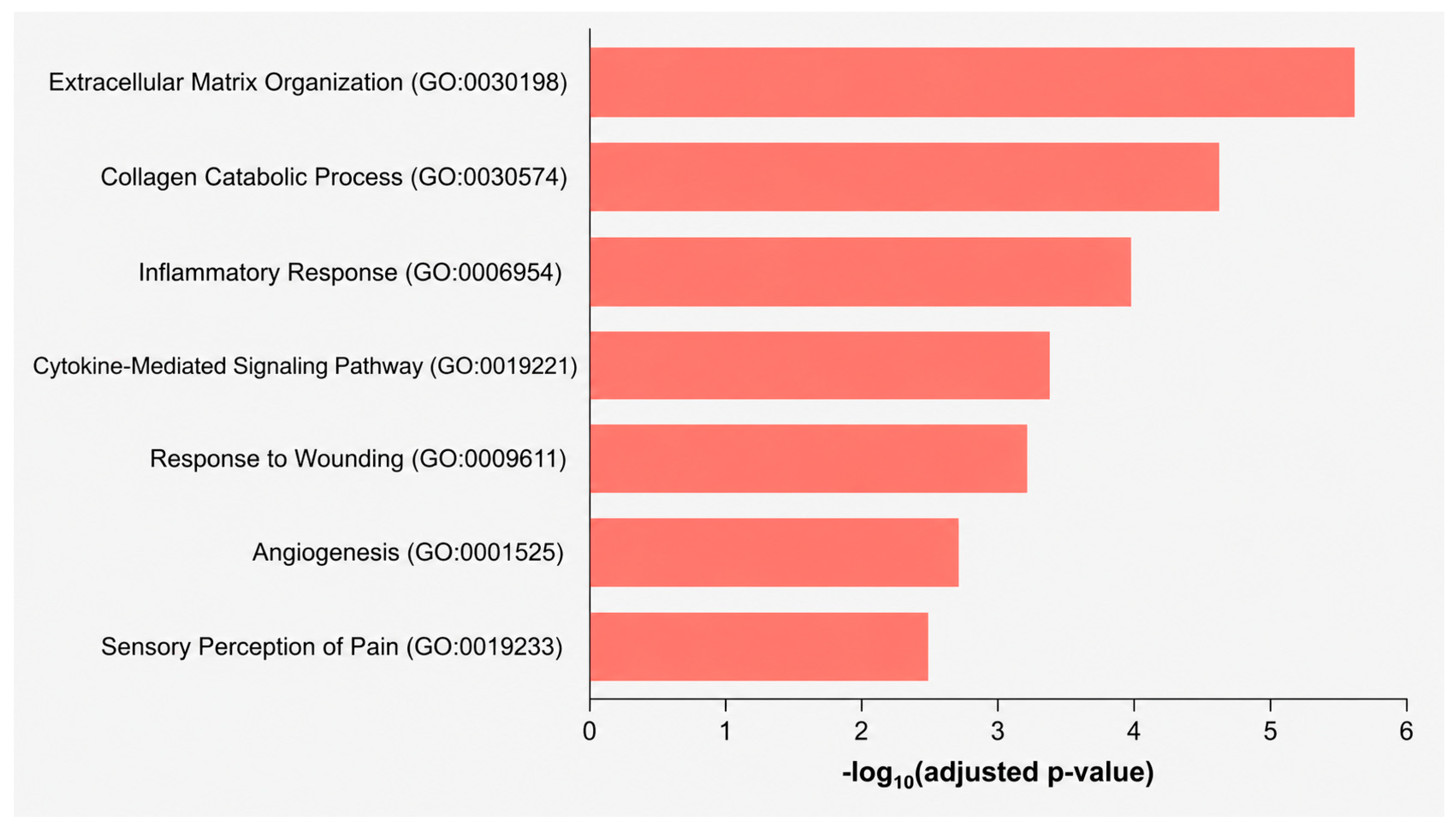 Biomedicines 14 02024 g002 Biomedicines 14 02024 g002