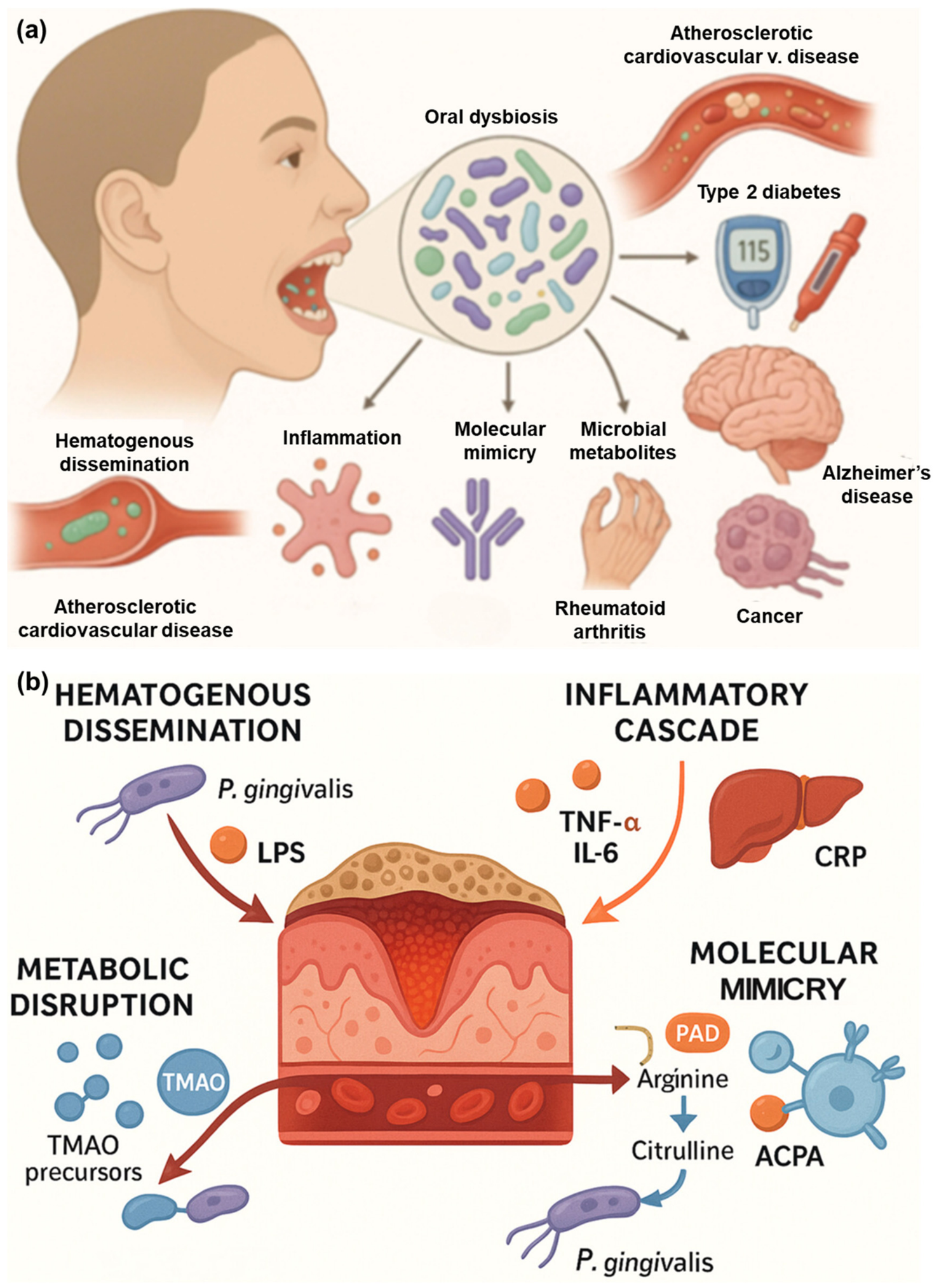 Biomedicines 14 02030 g001 Biomedicines 14 02030 g001