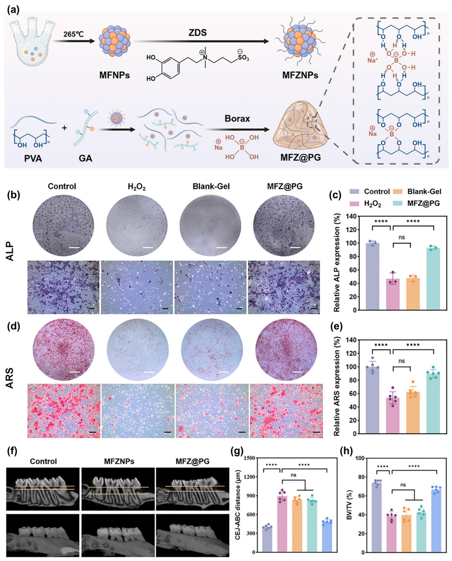 Biomedicines 14 02030 g006 Biomedicines 14 02030 g006