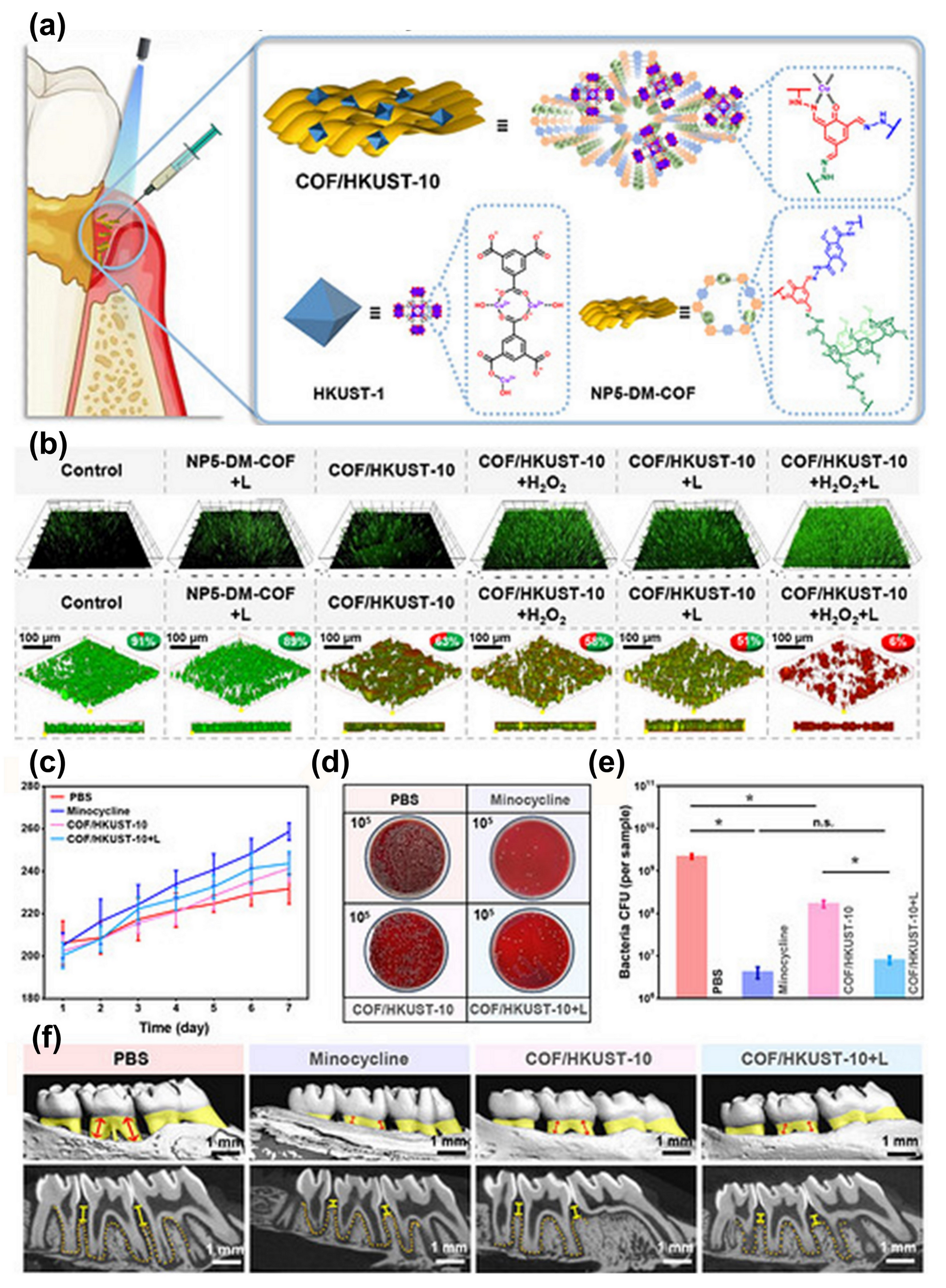 Biomedicines 14 02030 g009 Biomedicines 14 02030 g009