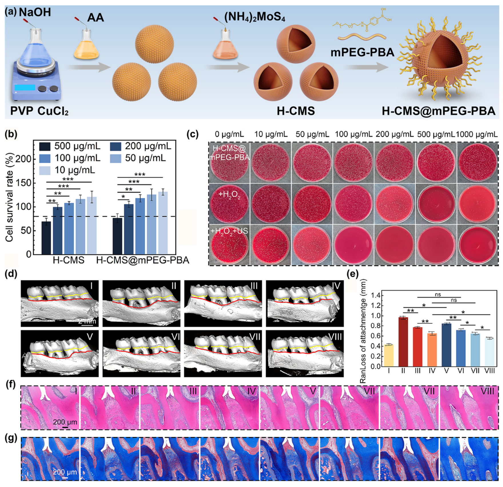 Biomedicines 14 02030 g010 Biomedicines 14 02030 g010