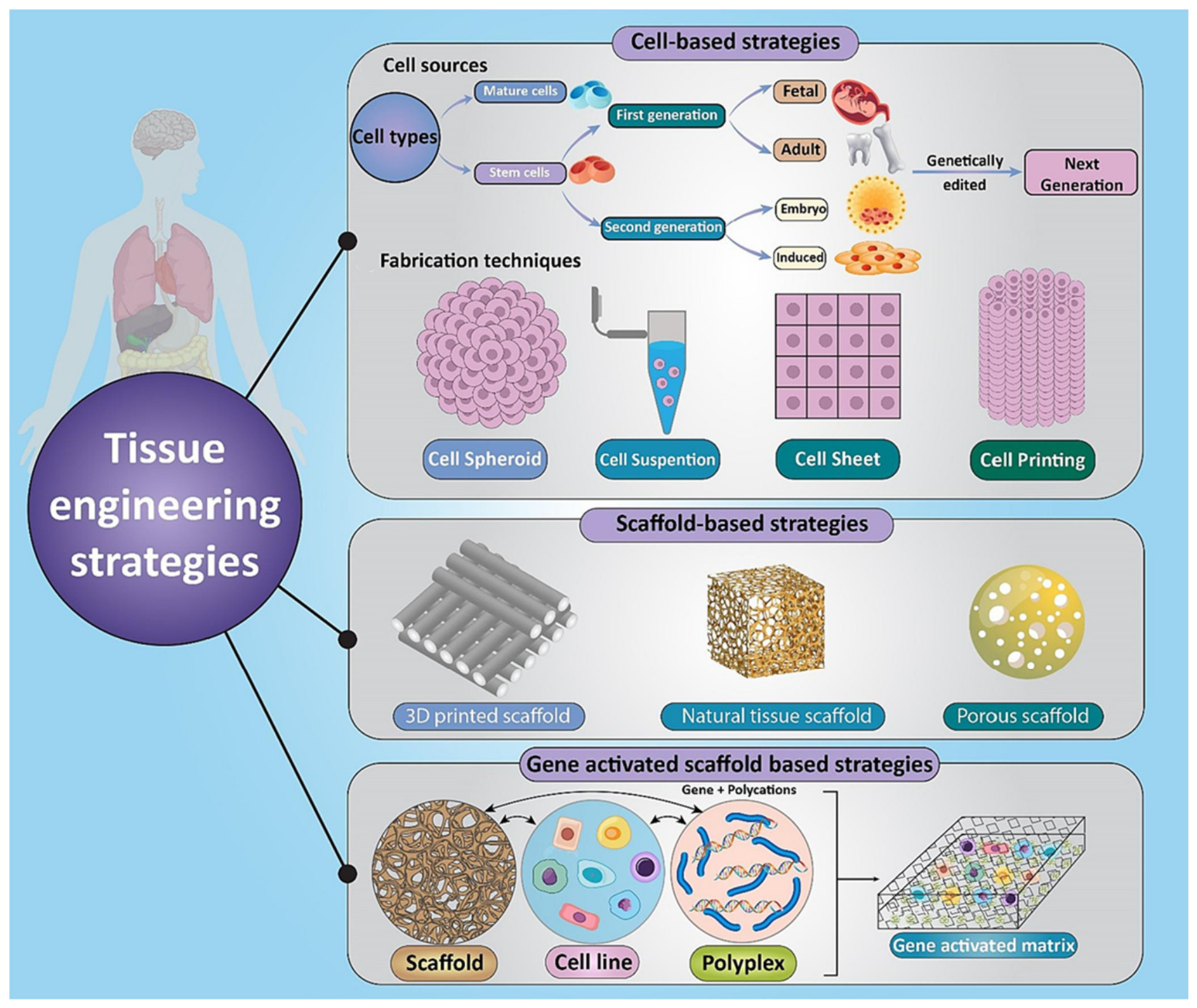 Biomedicines 14 02030 g011 Biomedicines 14 02030 g011