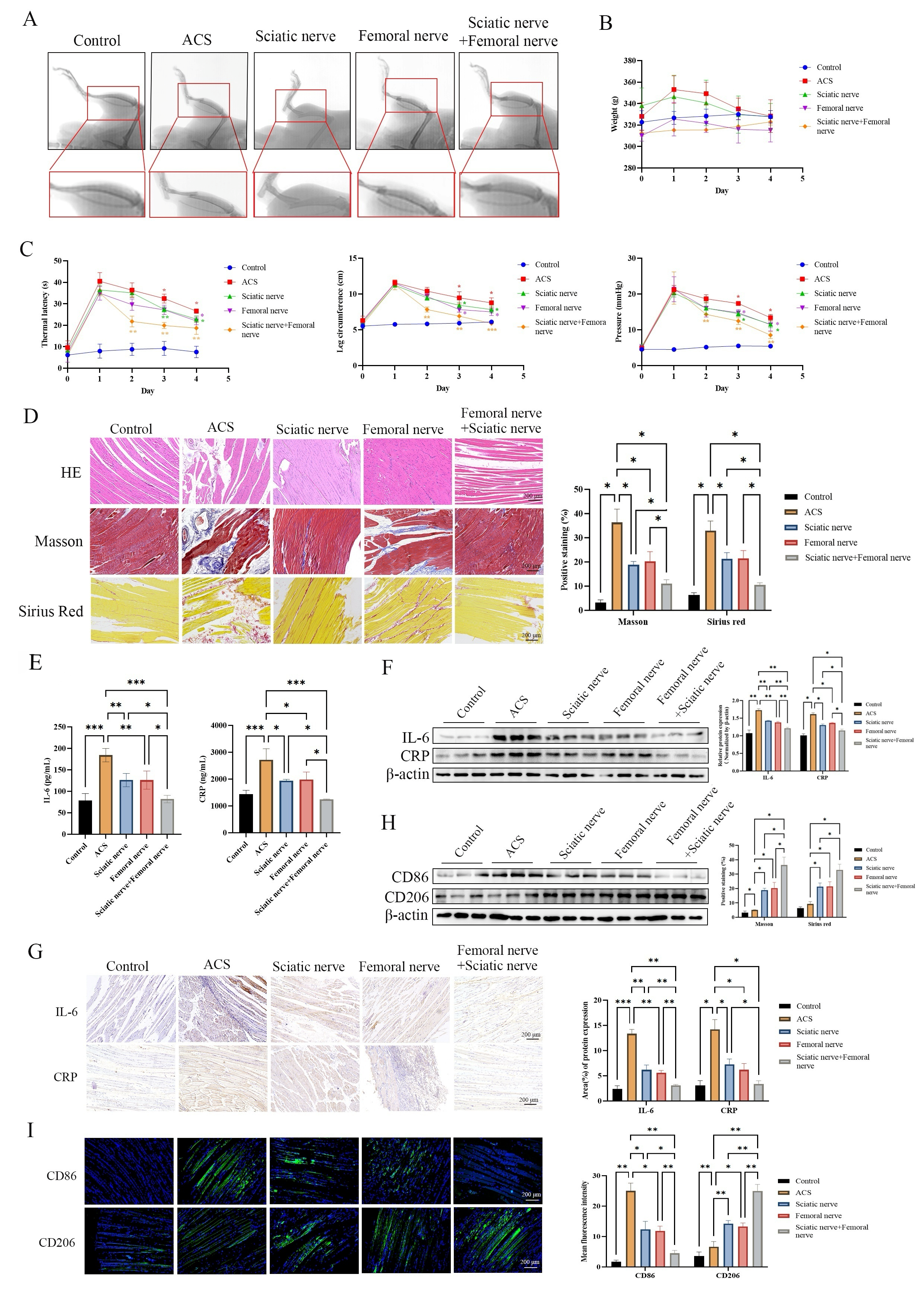 Biomedicines 14 02065 g001 Biomedicines 14 02065 g001