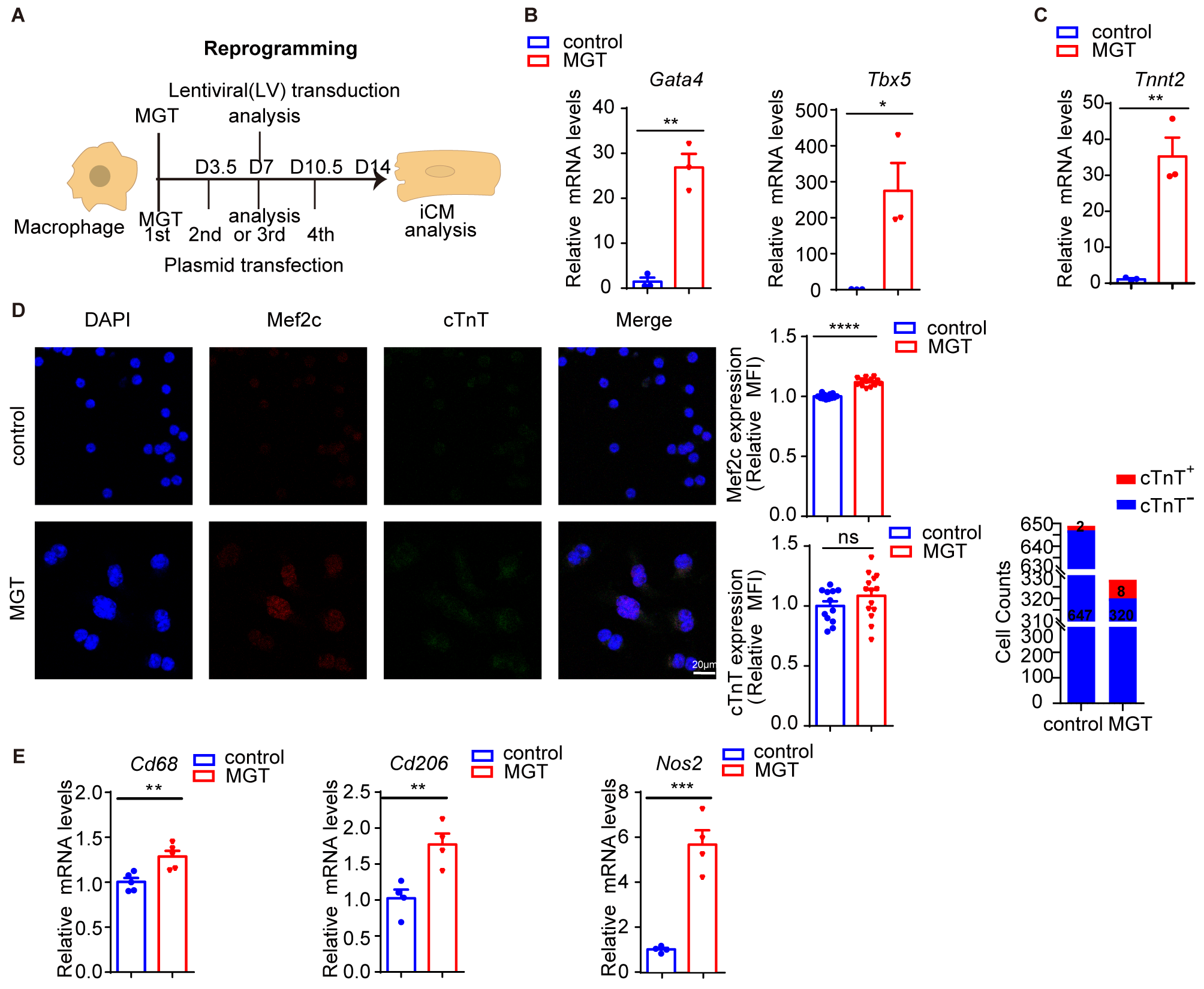 Biomedicines 14 02089 g002 Biomedicines 14 02089 g002