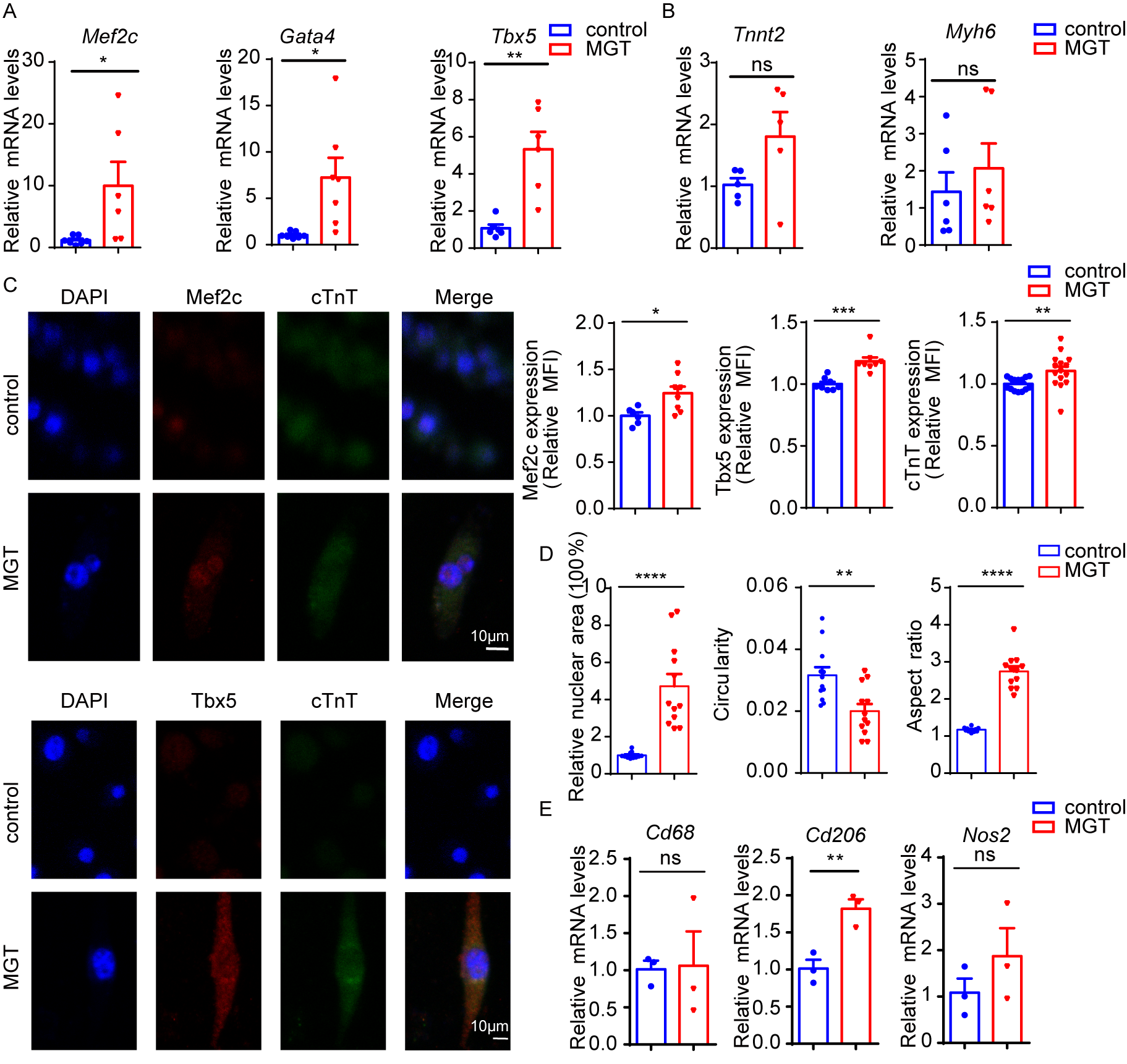 Biomedicines 14 02089 g003 Biomedicines 14 02089 g003