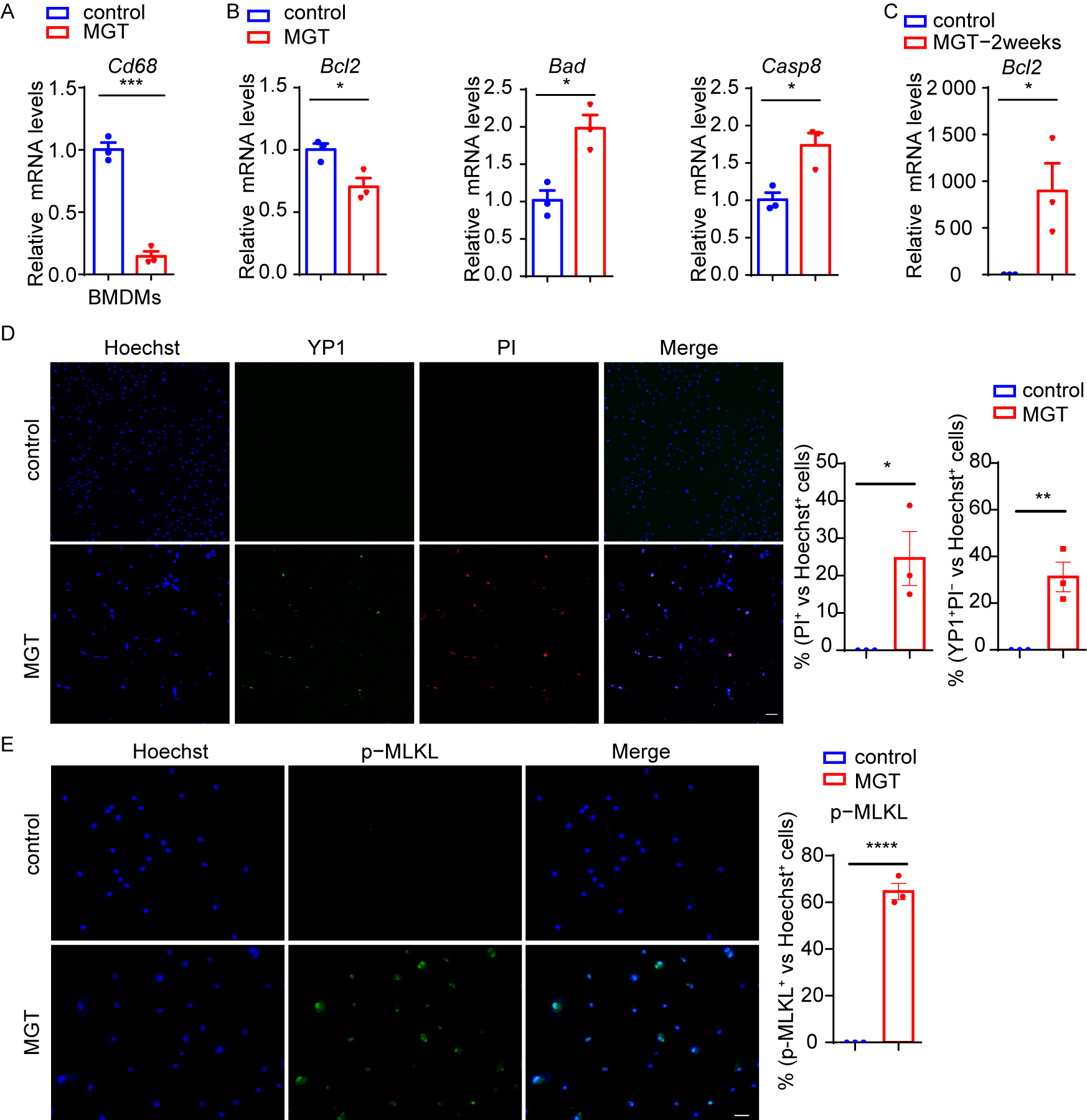 Biomedicines 14 02089 g006 Biomedicines 14 02089 g006