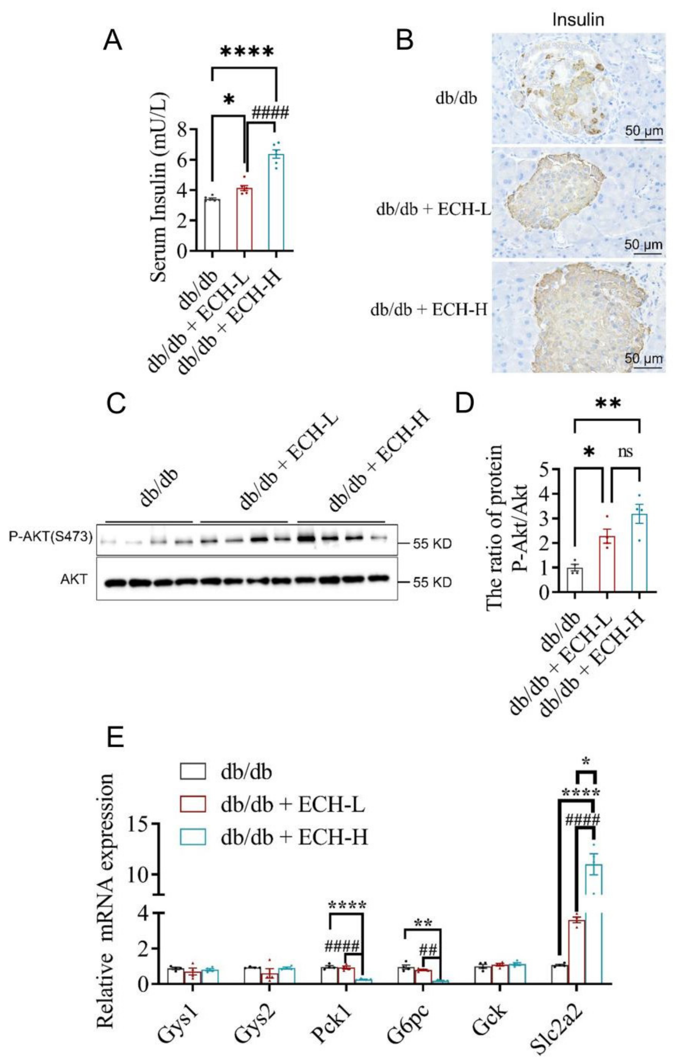 Biomedicines 14 02091 g002