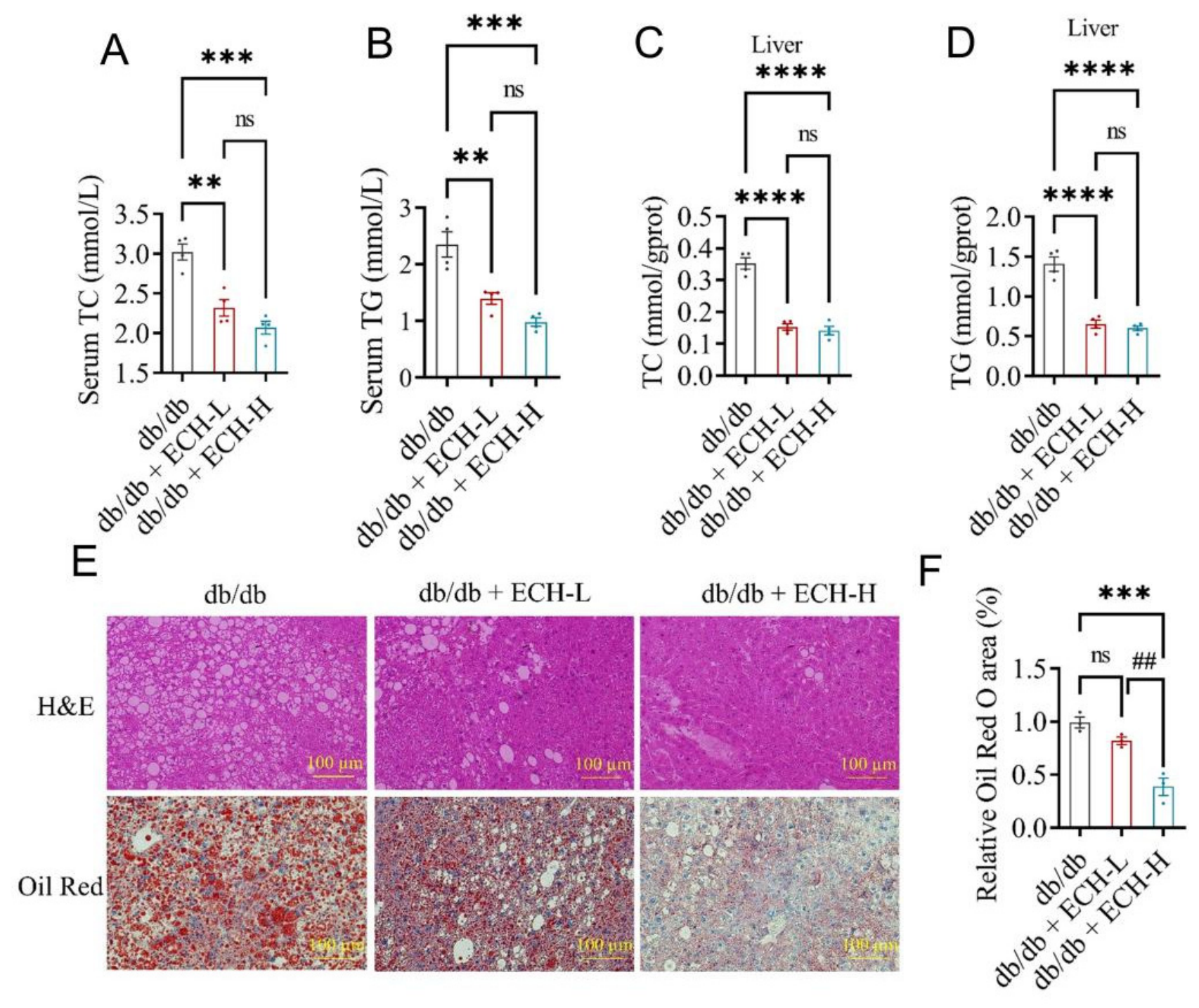 Biomedicines 14 02091 g003