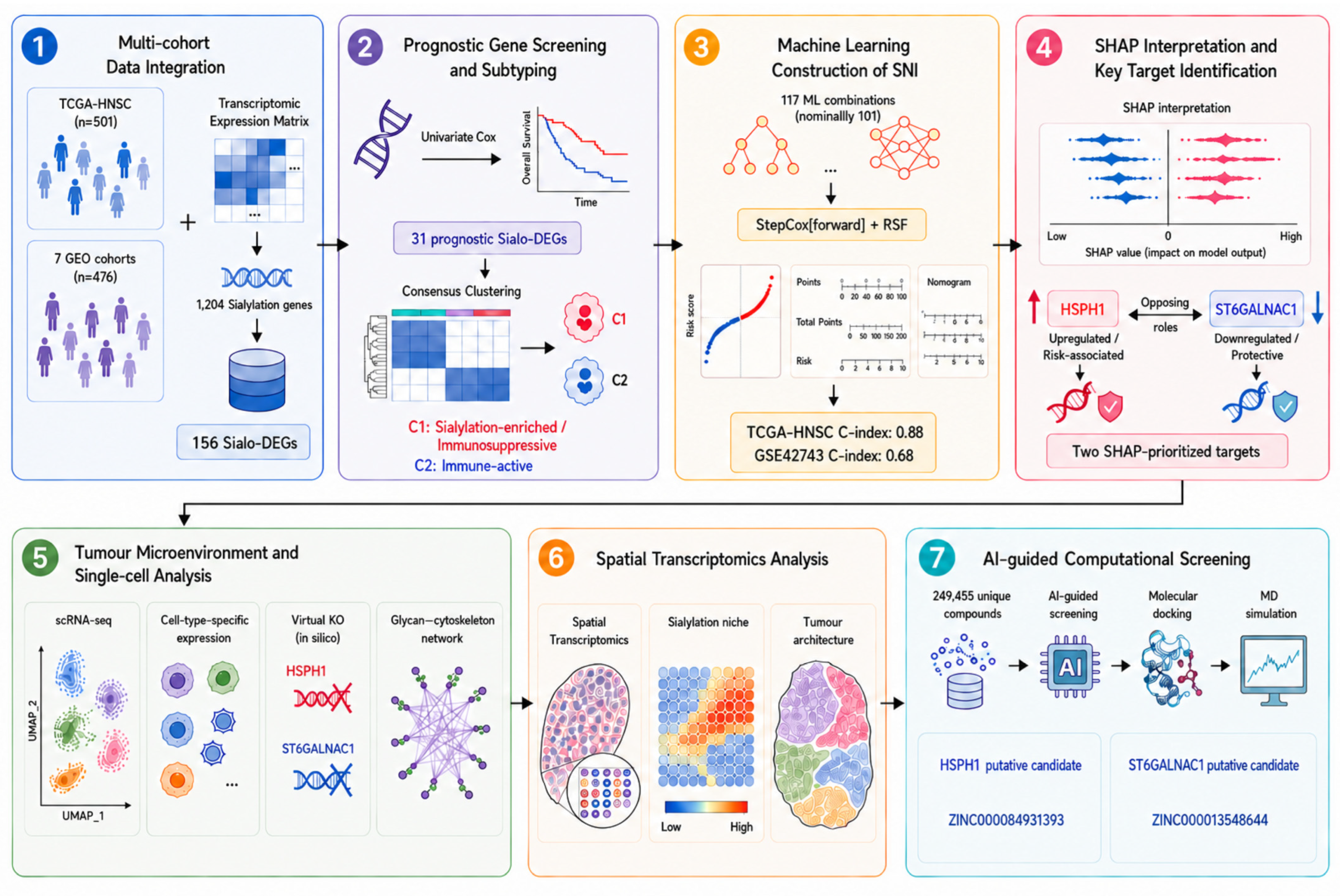 Biomedicines 14 02102 g001